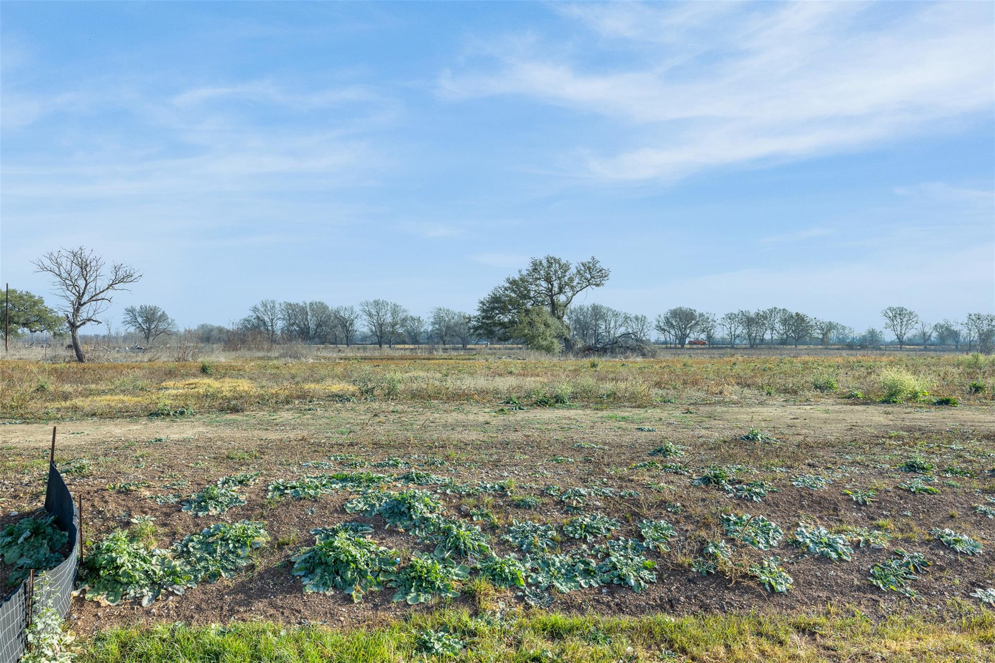 333 Quail Run Rd, Martindale, TX 78655