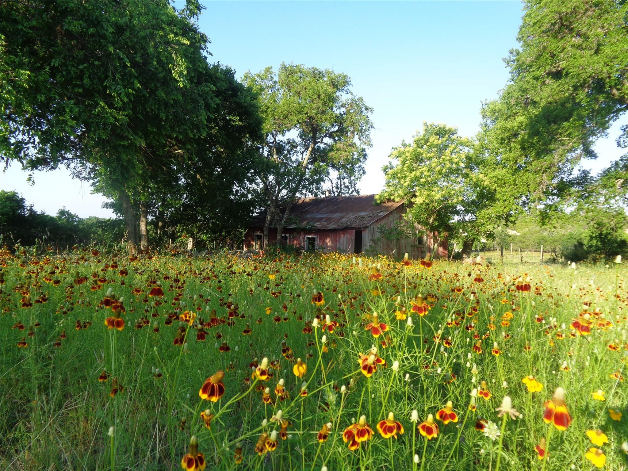 684 Stoneleigh Rd, Center Point, TX 78010