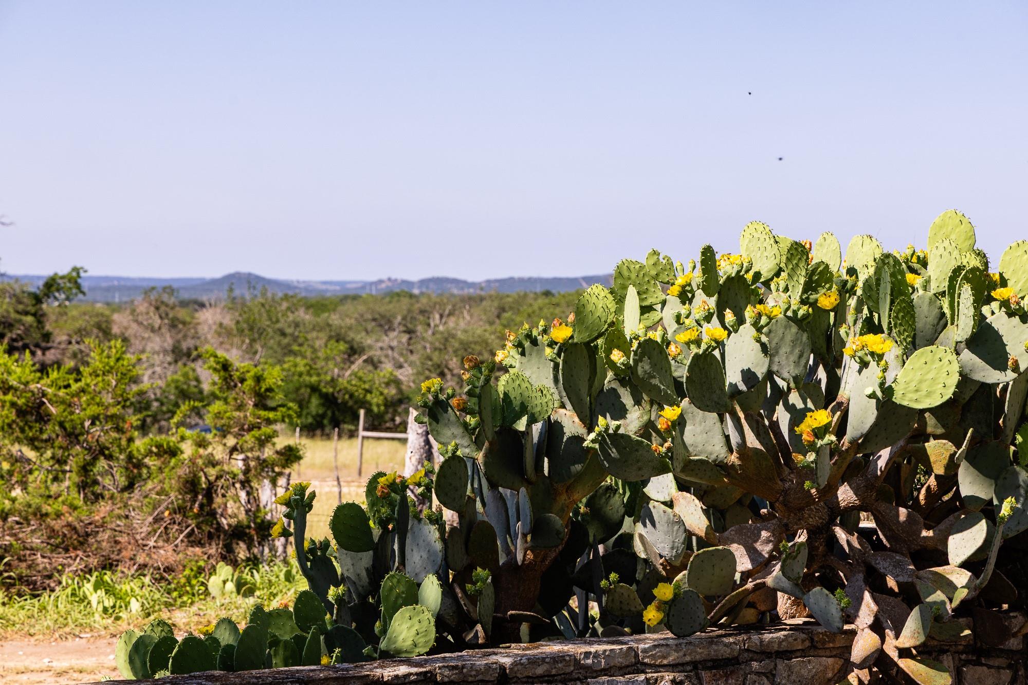 684 Stoneleigh Rd, Center Point, TX 78010