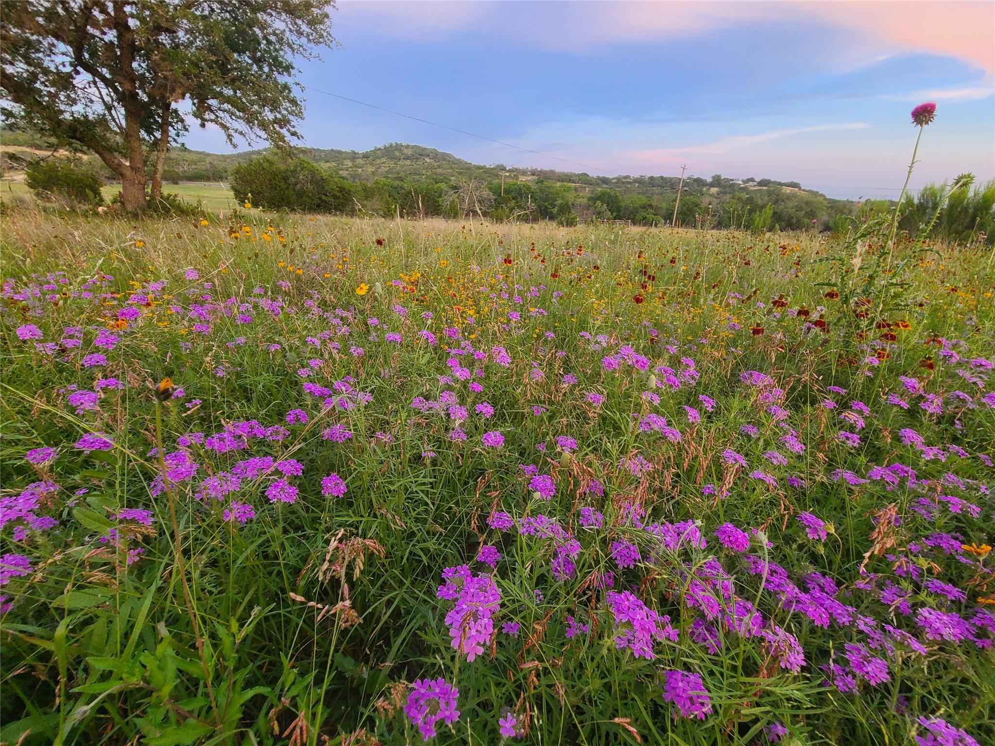 684 Stoneleigh Rd, Center Point, TX 78010