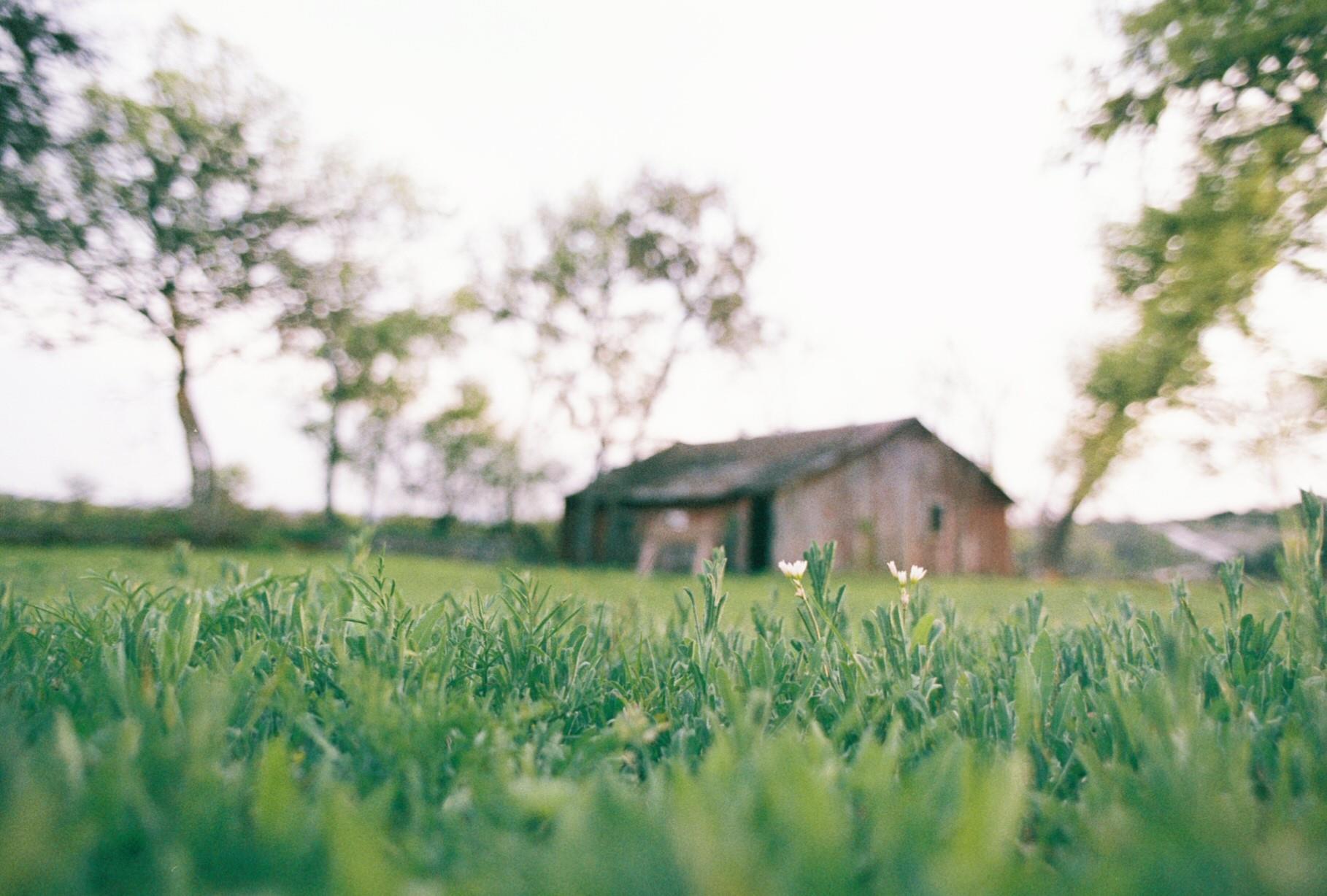 684 Stoneleigh Rd, Center Point, TX 78010