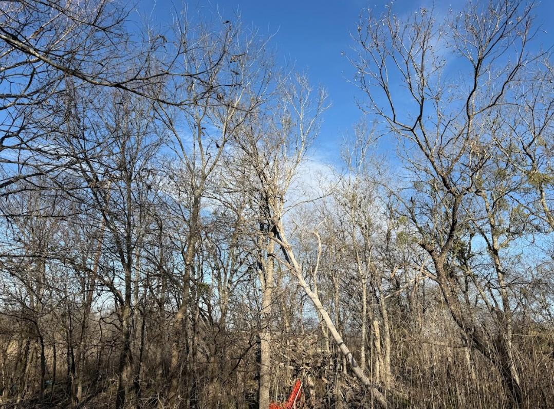 "TBD" NE N East Front St, Bartlett, TX 76511