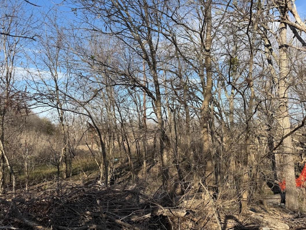 "TBD" NE N East Front St, Bartlett, TX 76511