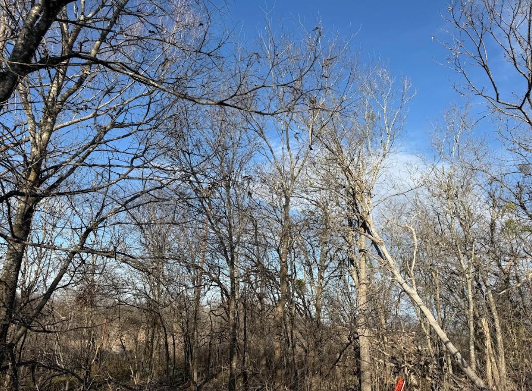 "TBD" NE N East Front St, Bartlett, TX 76511