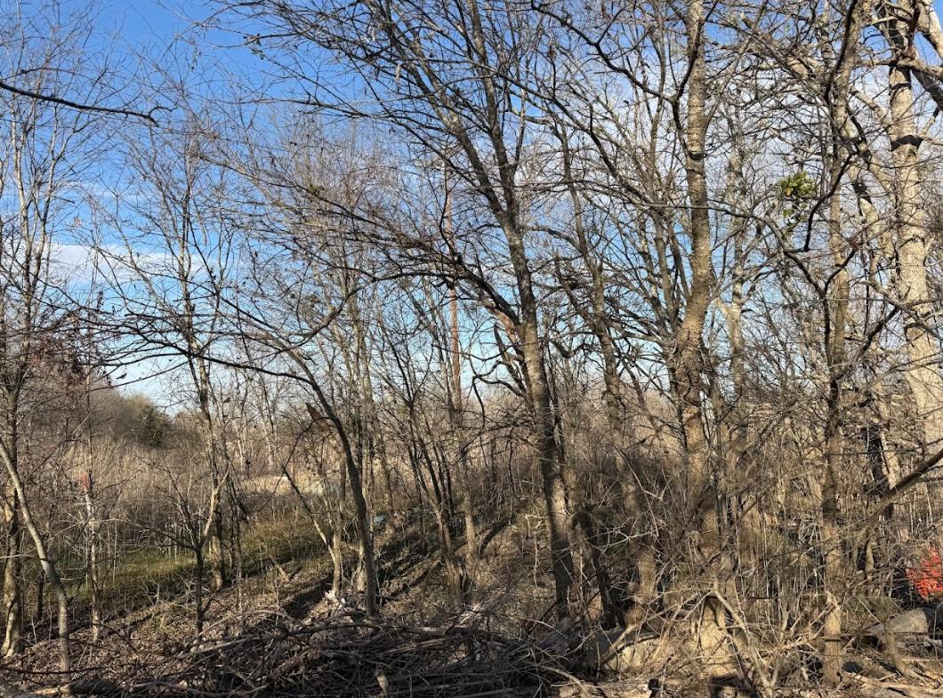 "TBD" NE N East Front St, Bartlett, TX 76511