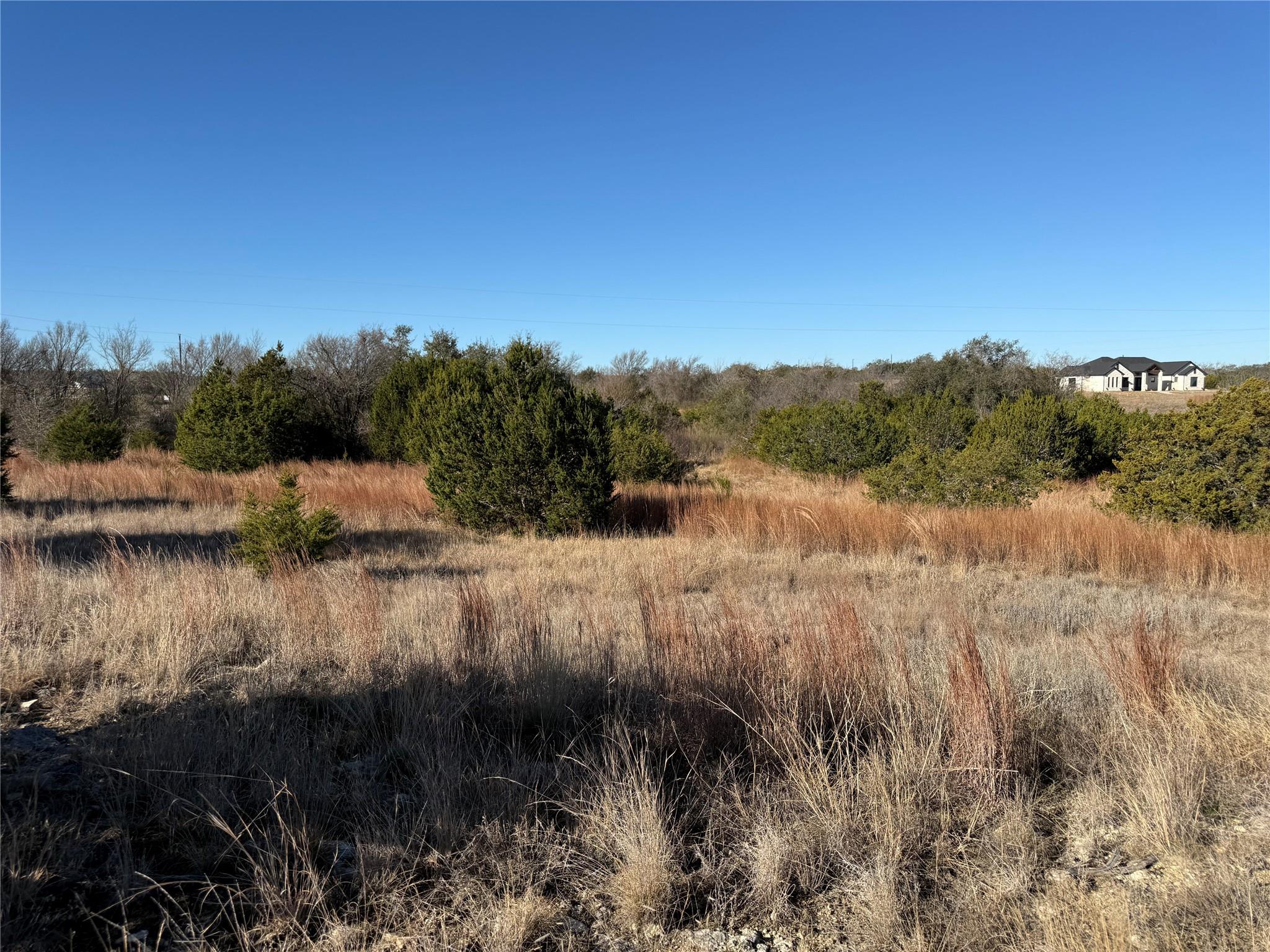 1 Cloudwood Ranch Rd, Briggs, TX 78608