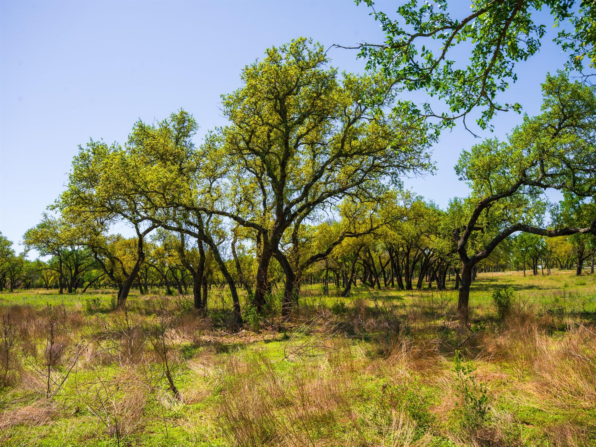 000 Serenity Springs Rnch, Johnson City, TX 78636