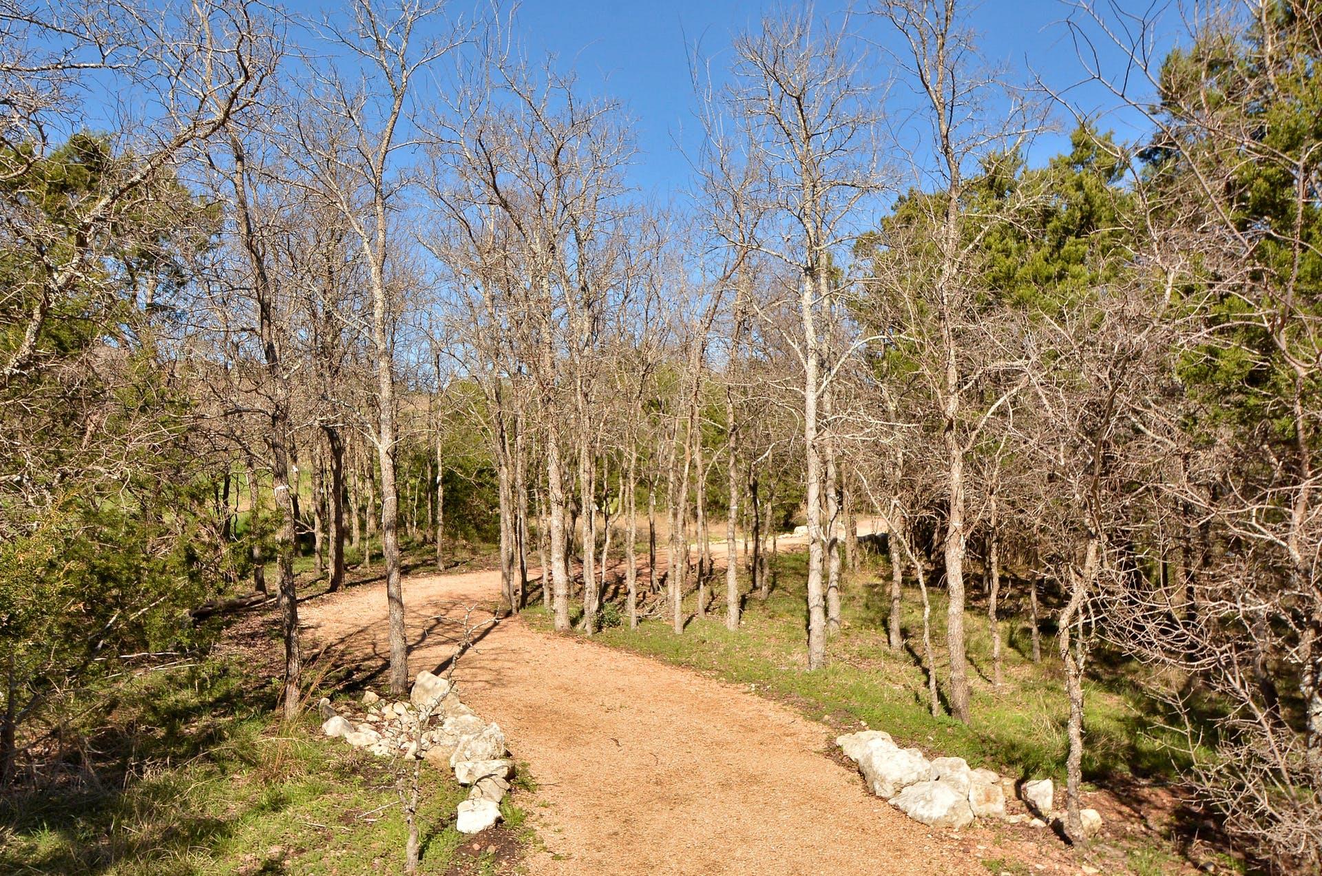 300 Grosseto Ln, Georgetown, TX 78628