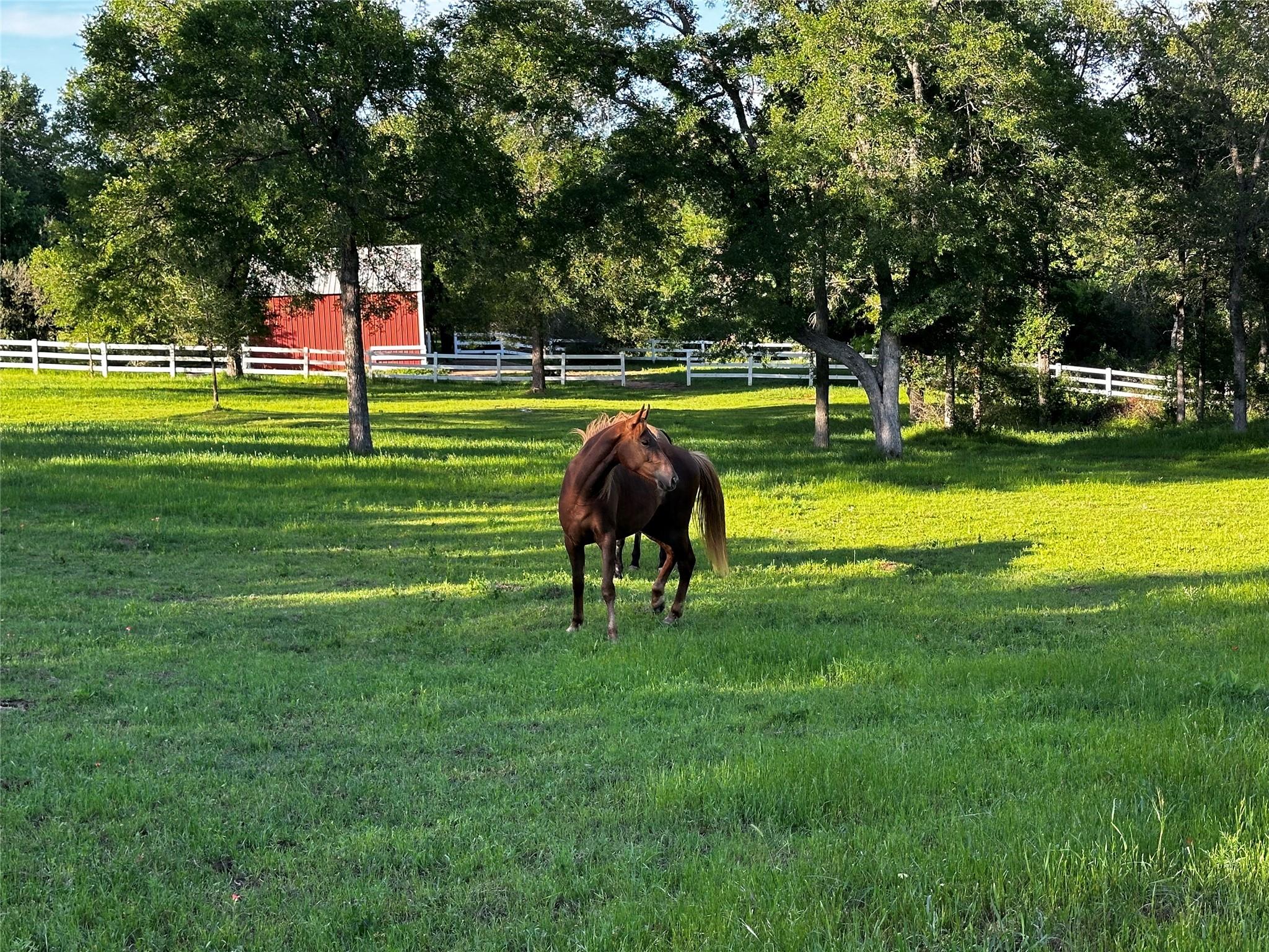 197 Colorado Dr, Cedar Creek, TX 78612