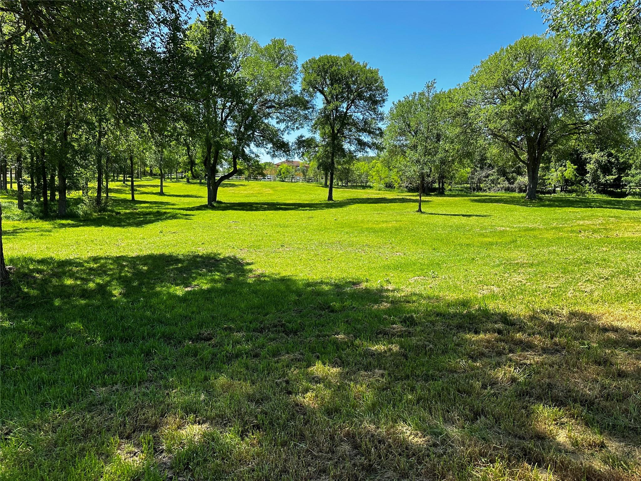 197 Colorado Dr, Cedar Creek, TX 78612