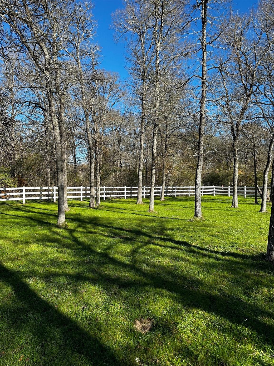 197 Colorado Dr, Cedar Creek, TX 78612