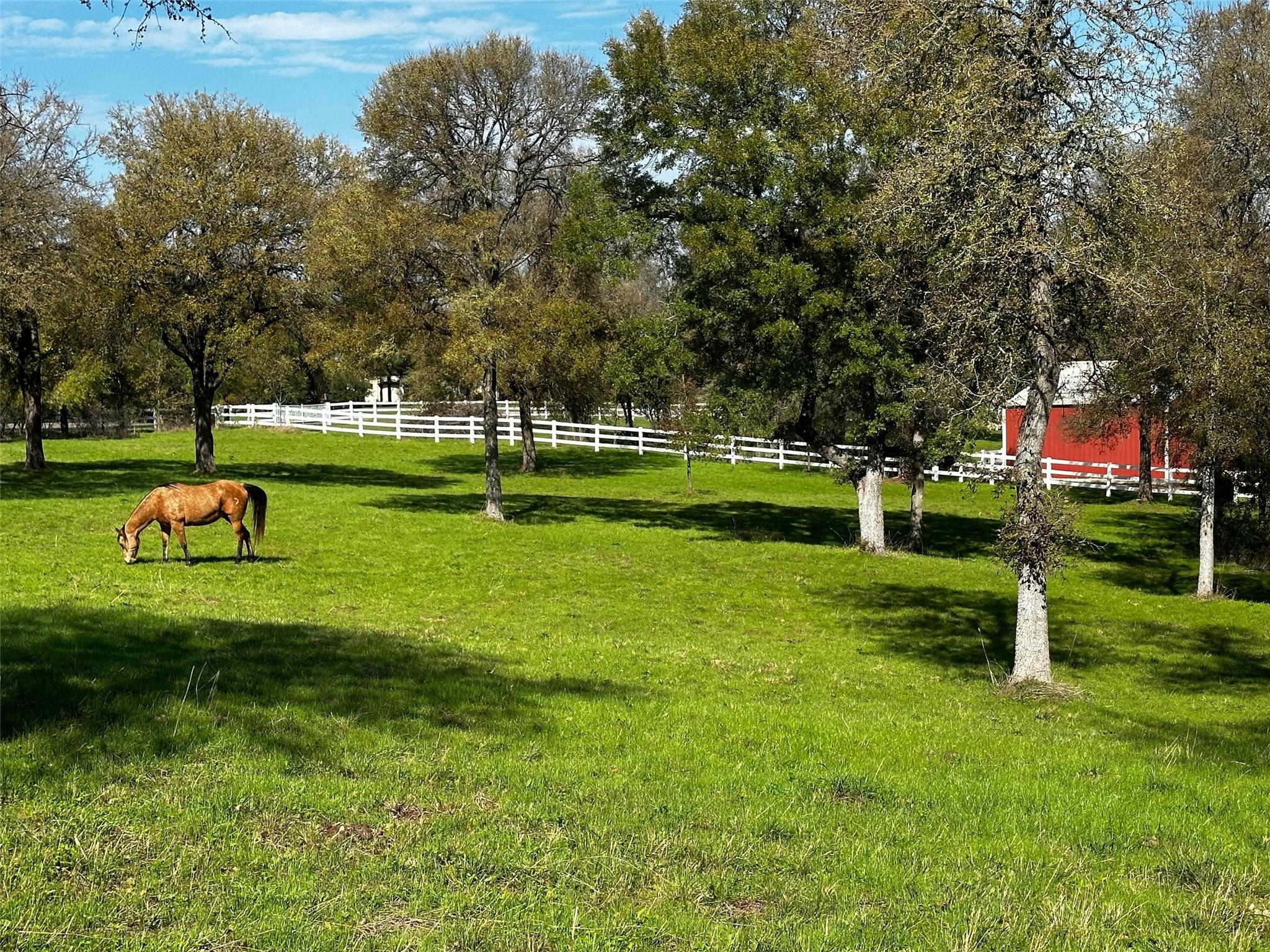 197 Colorado Dr, Cedar Creek, TX 78612