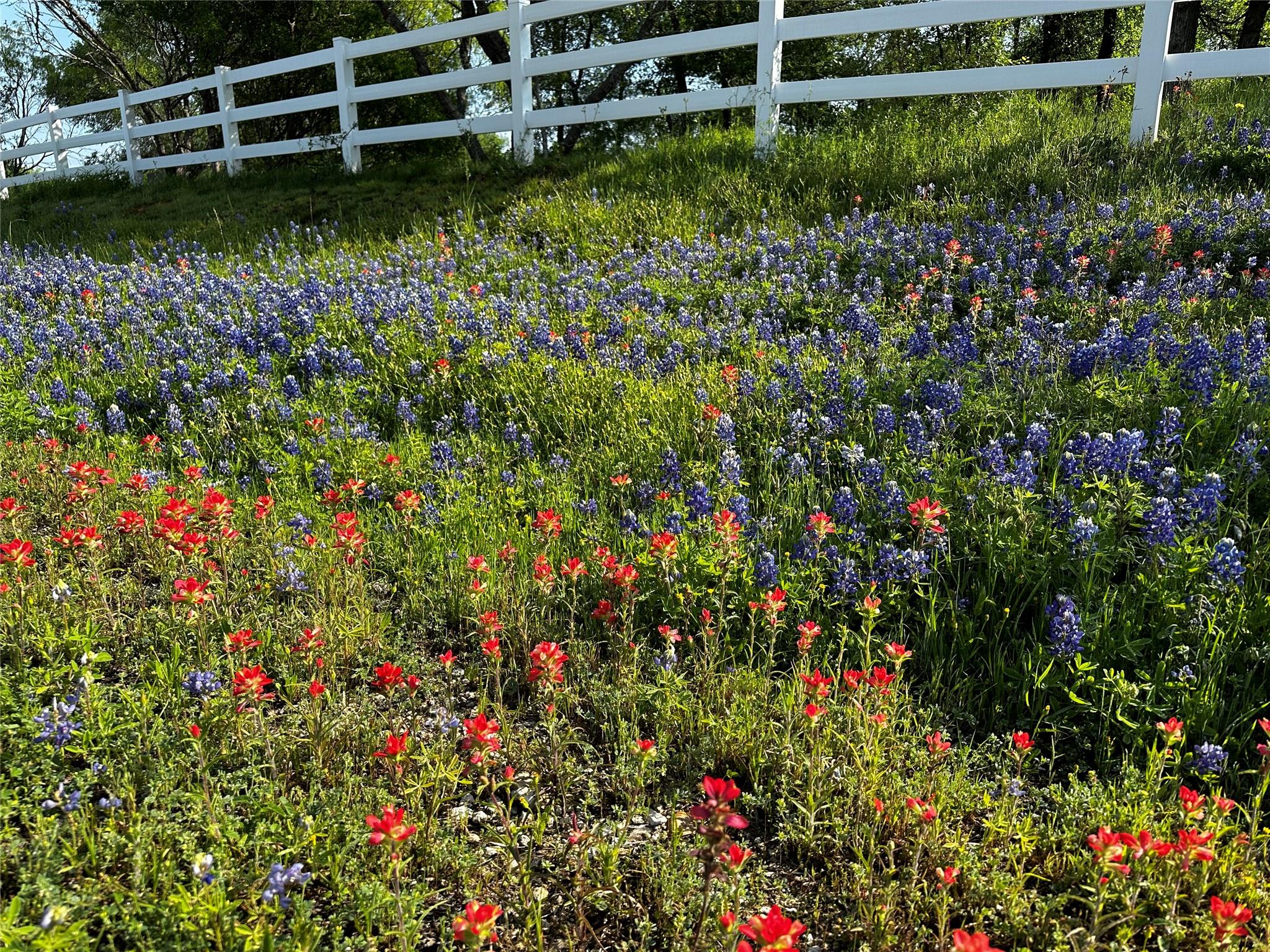 197 Colorado Dr, Cedar Creek, TX 78612