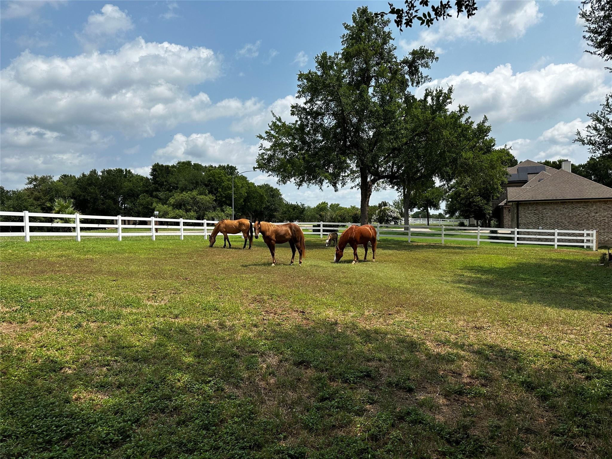 197 Colorado Dr, Cedar Creek, TX 78612