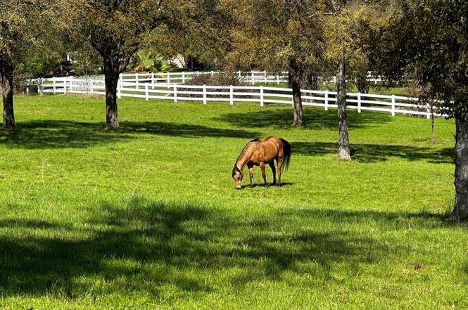 197 Colorado Dr, Cedar Creek, TX 78612