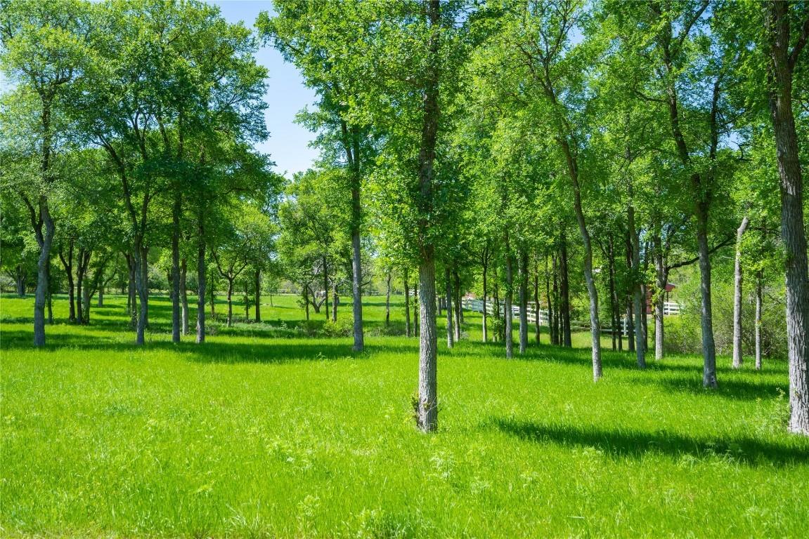 197 Colorado Dr, Cedar Creek, TX 78612