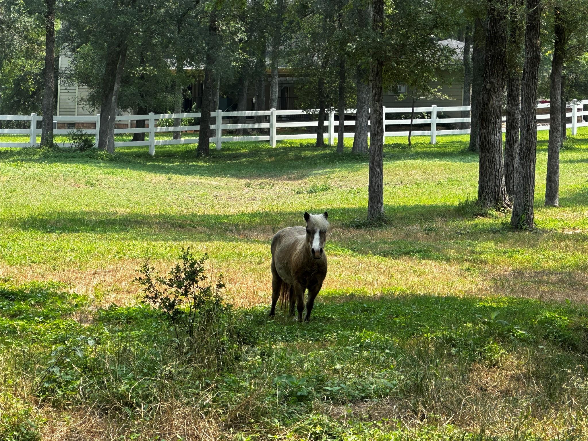 197 Colorado Dr, Cedar Creek, TX 78612