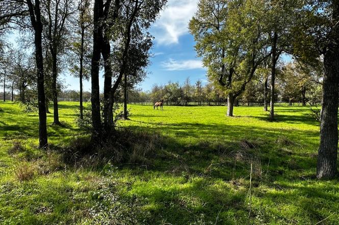 197 Colorado Dr, Cedar Creek, TX 78612