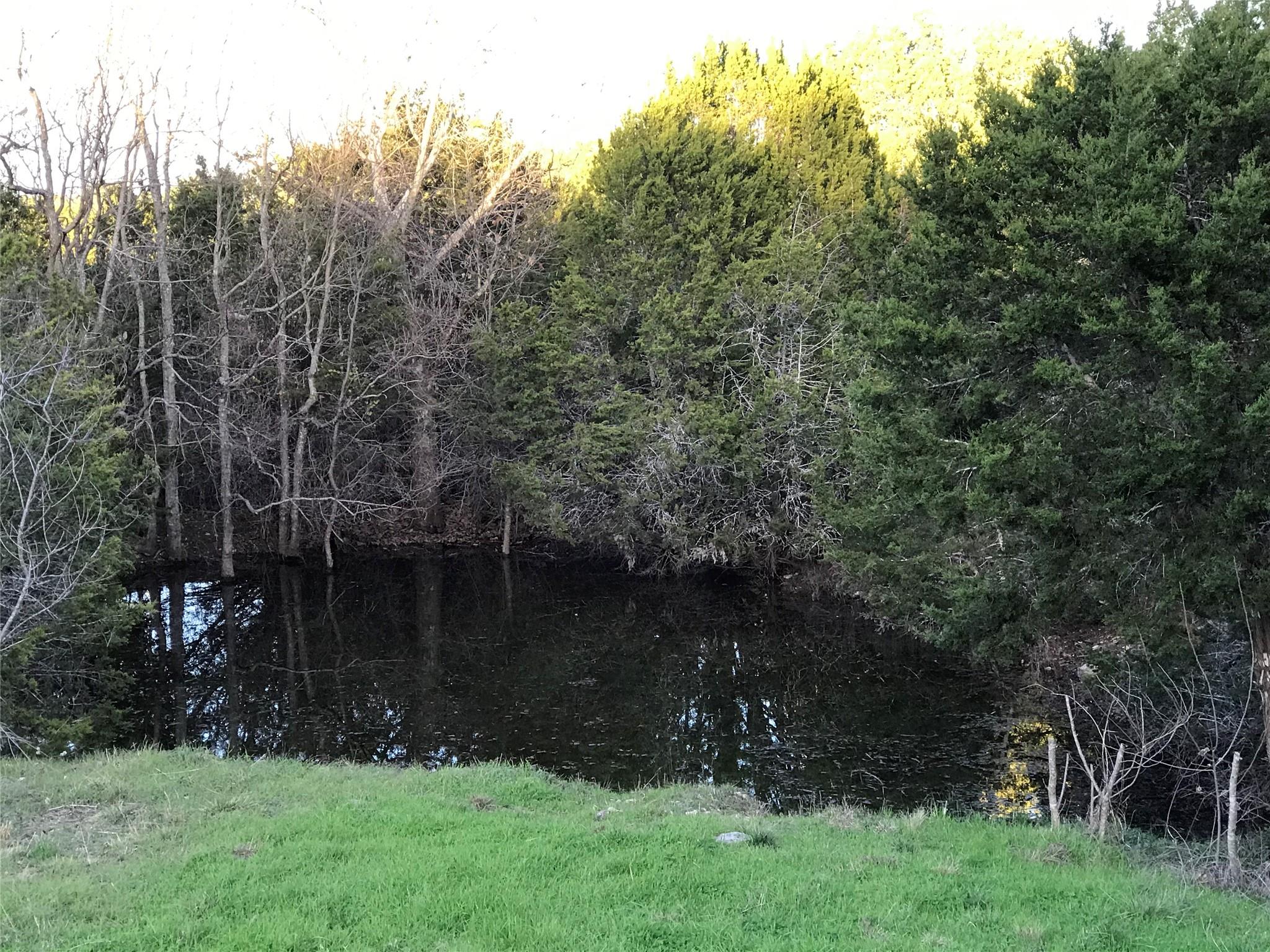 421 S Bear Creek Rd, Liberty Hill, TX 78642