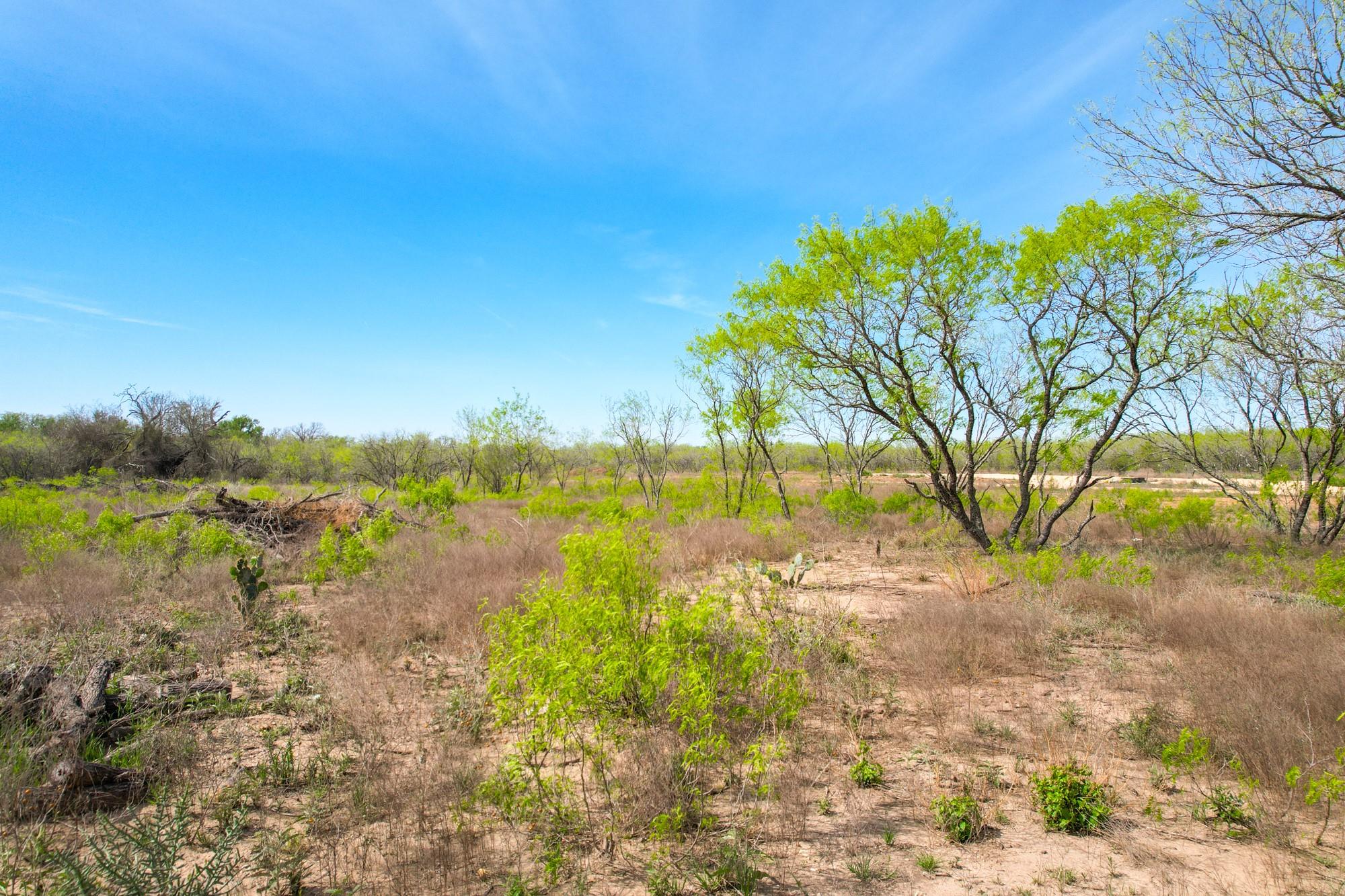 1505 Barth Rd, Dale, TX 78616