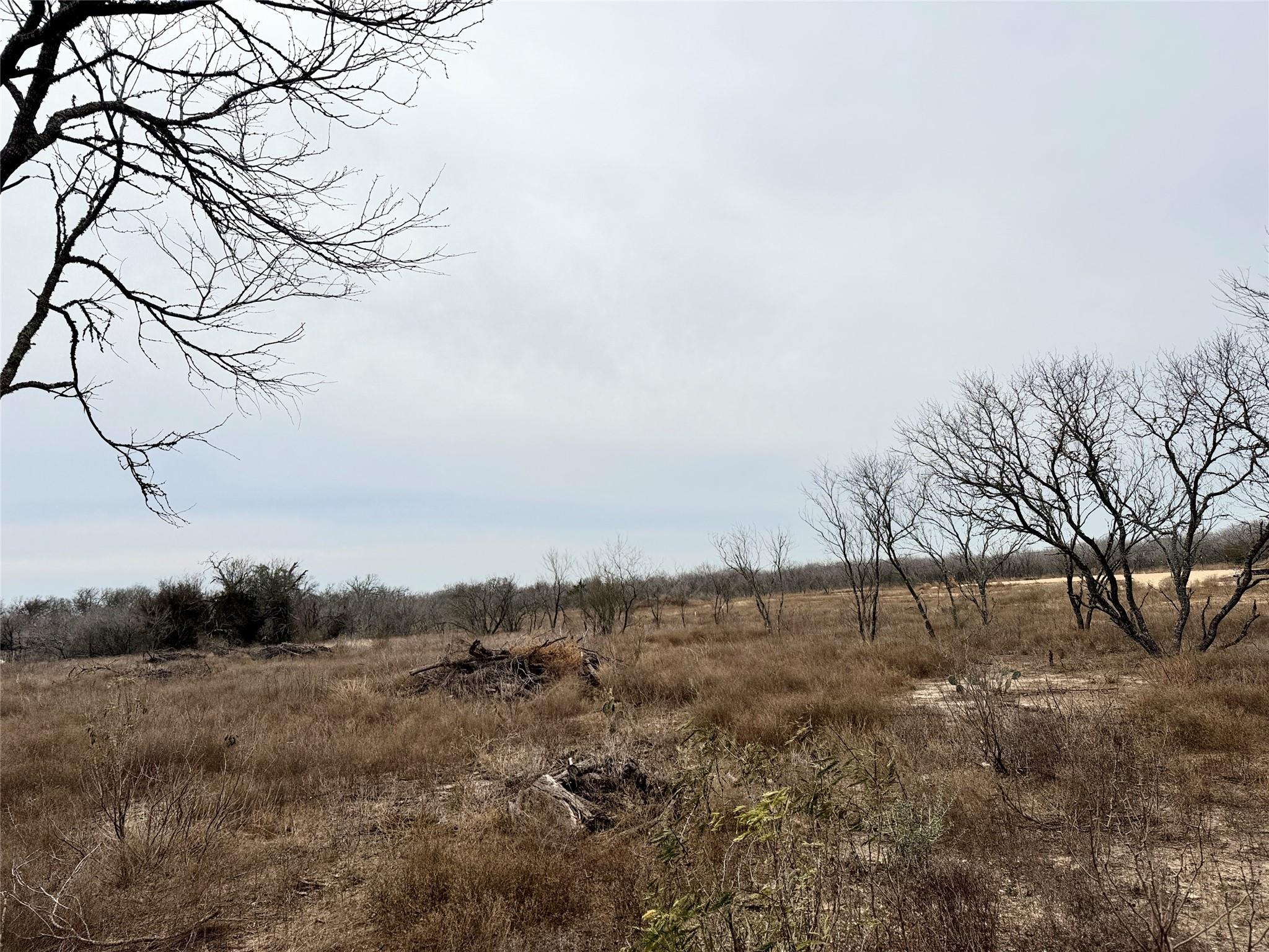 1505 Barth Rd, Dale, TX 78616