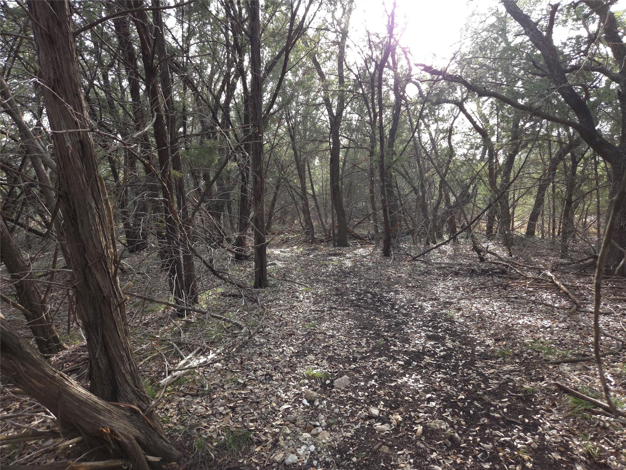 TBD Oakland Rd, Georgetown, TX 78633