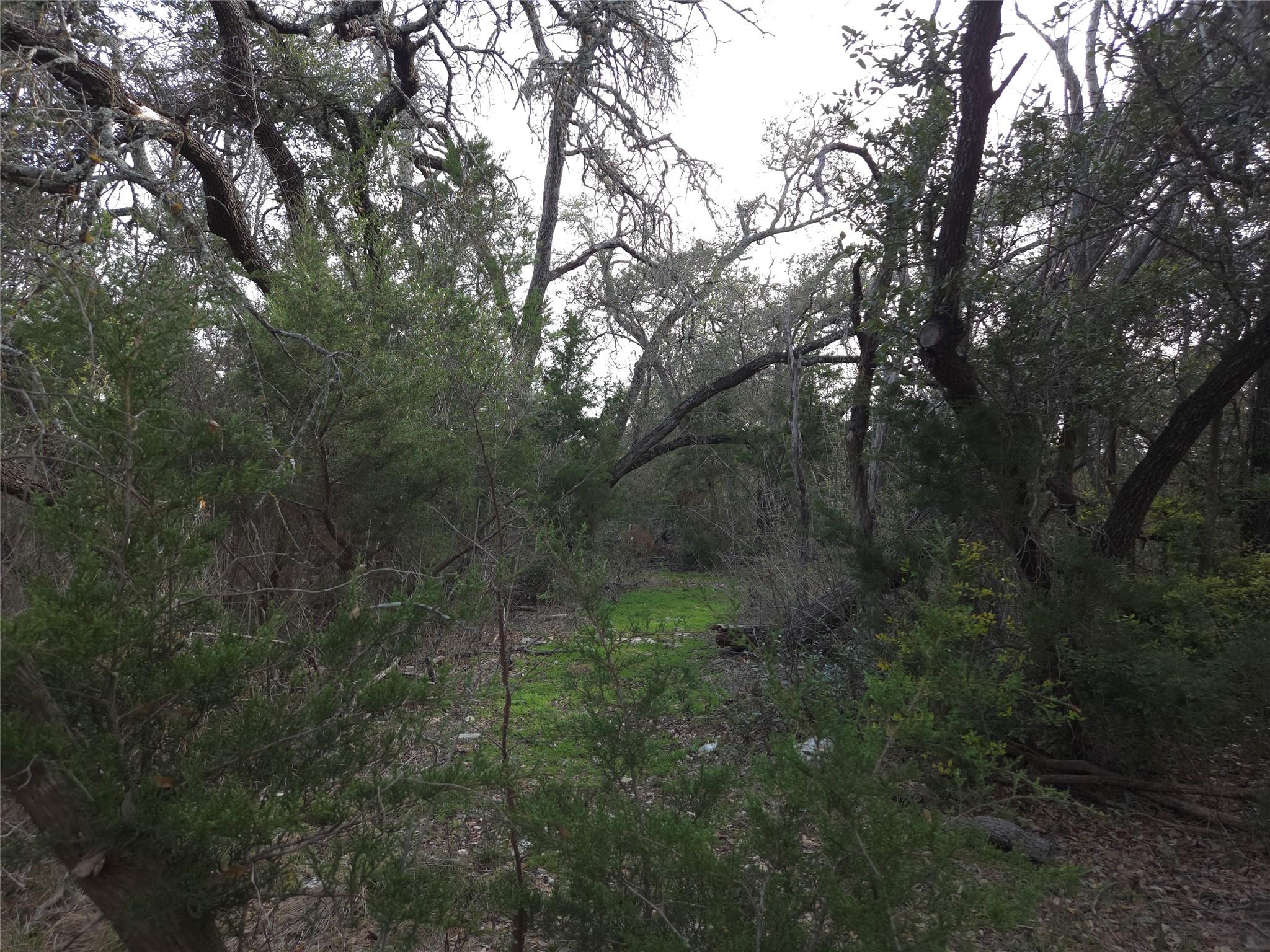 TBD Oakland Rd, Georgetown, TX 78633