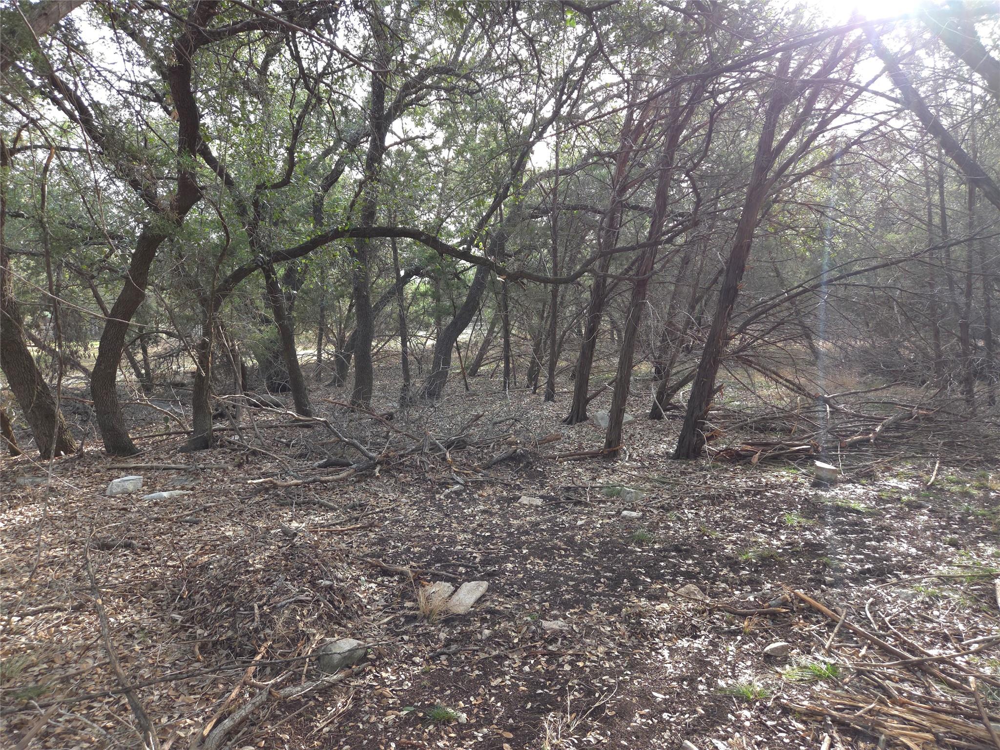 TBD Oakland Rd, Georgetown, TX 78633