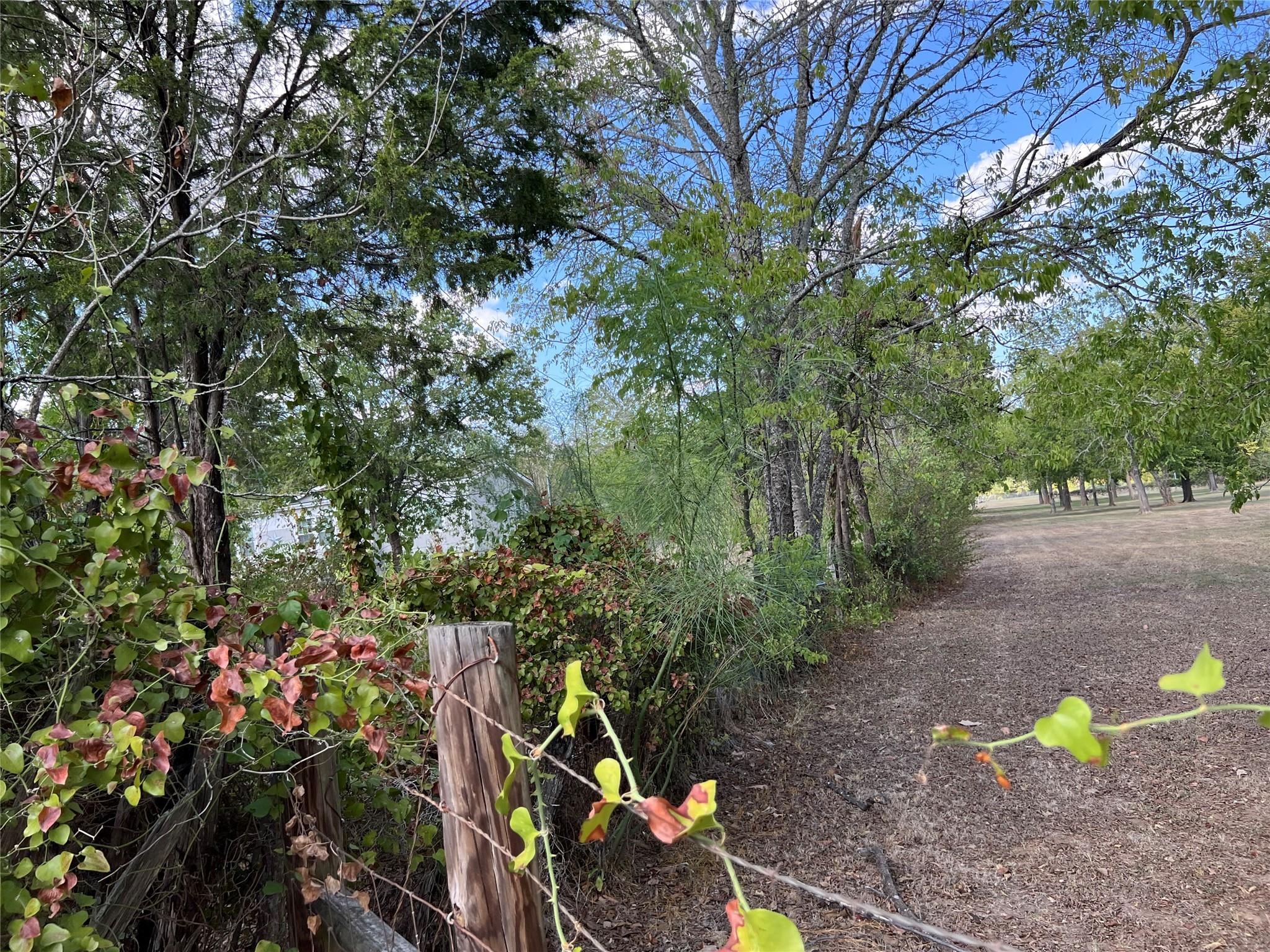 529 Madison St, Elgin, TX 78621