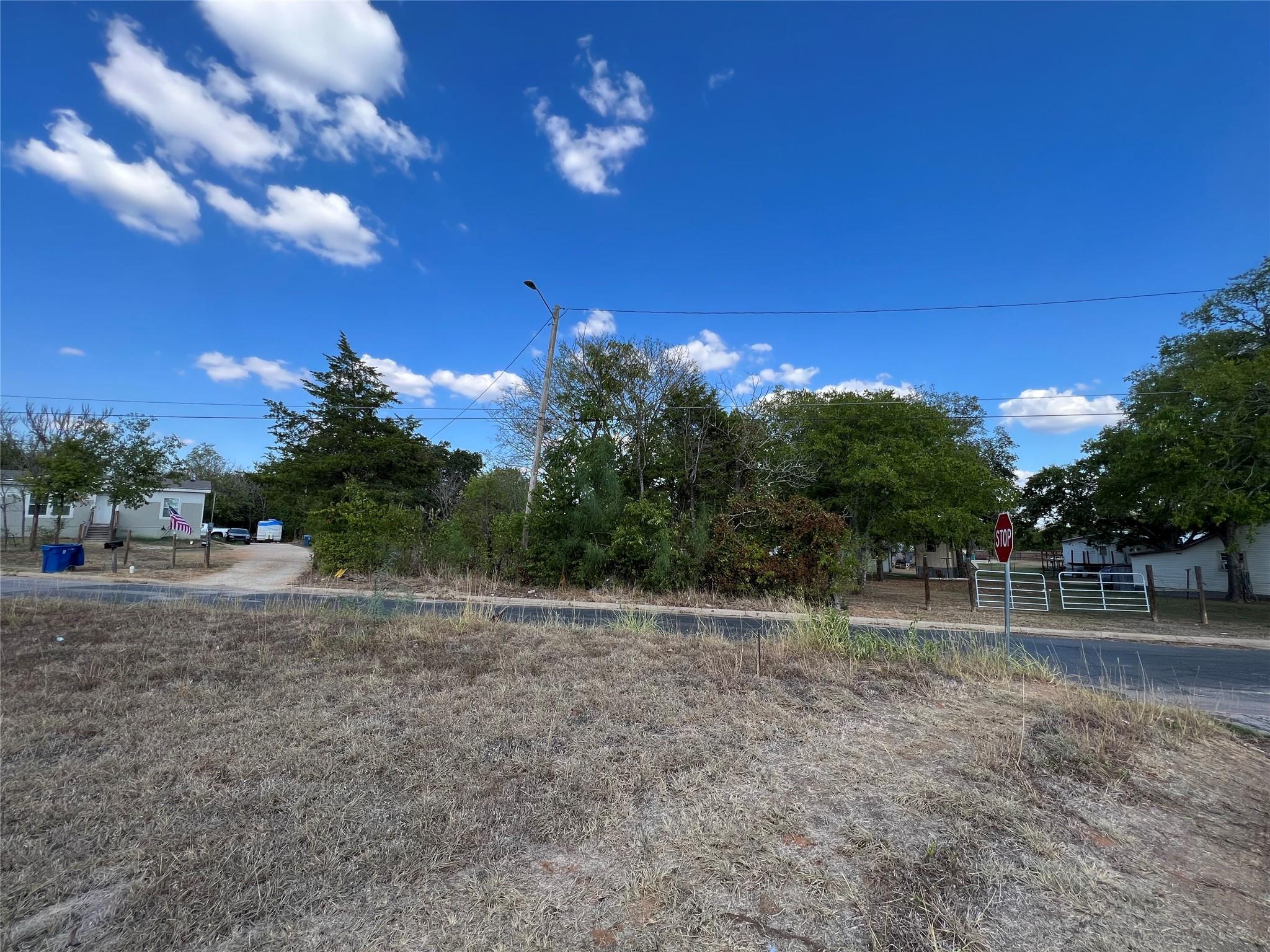 529 Madison St, Elgin, TX 78621