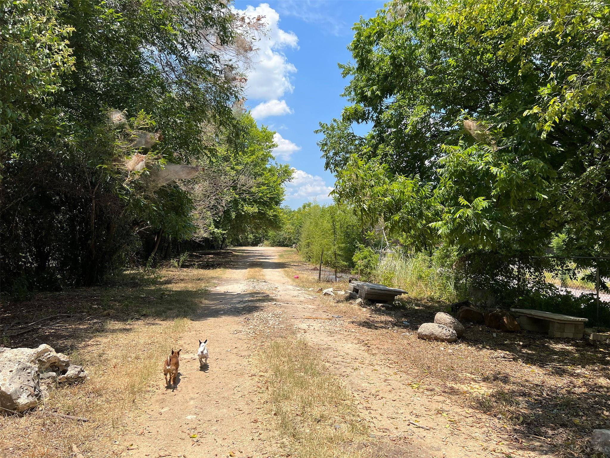 914 Shady Ln # Tract 1, Austin, TX 78702