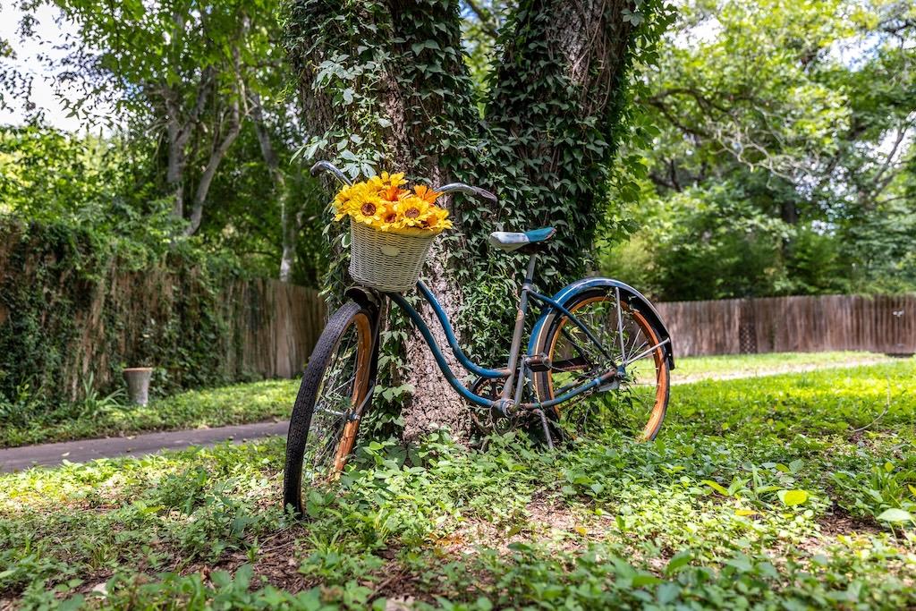 114 N College St, Gonzales, TX 78629