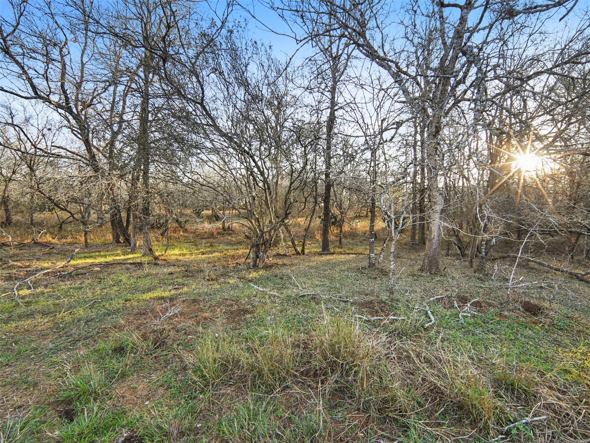 Tract 3 US Hwy 90 Alt, Seguin, TX 78155