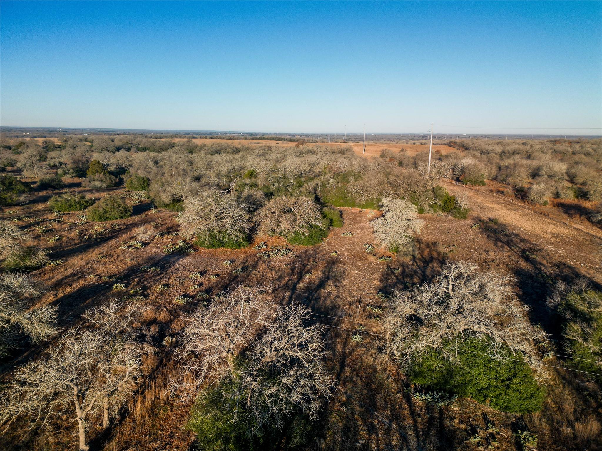 000 Sandy Pine Rd, Luling, TX 78648