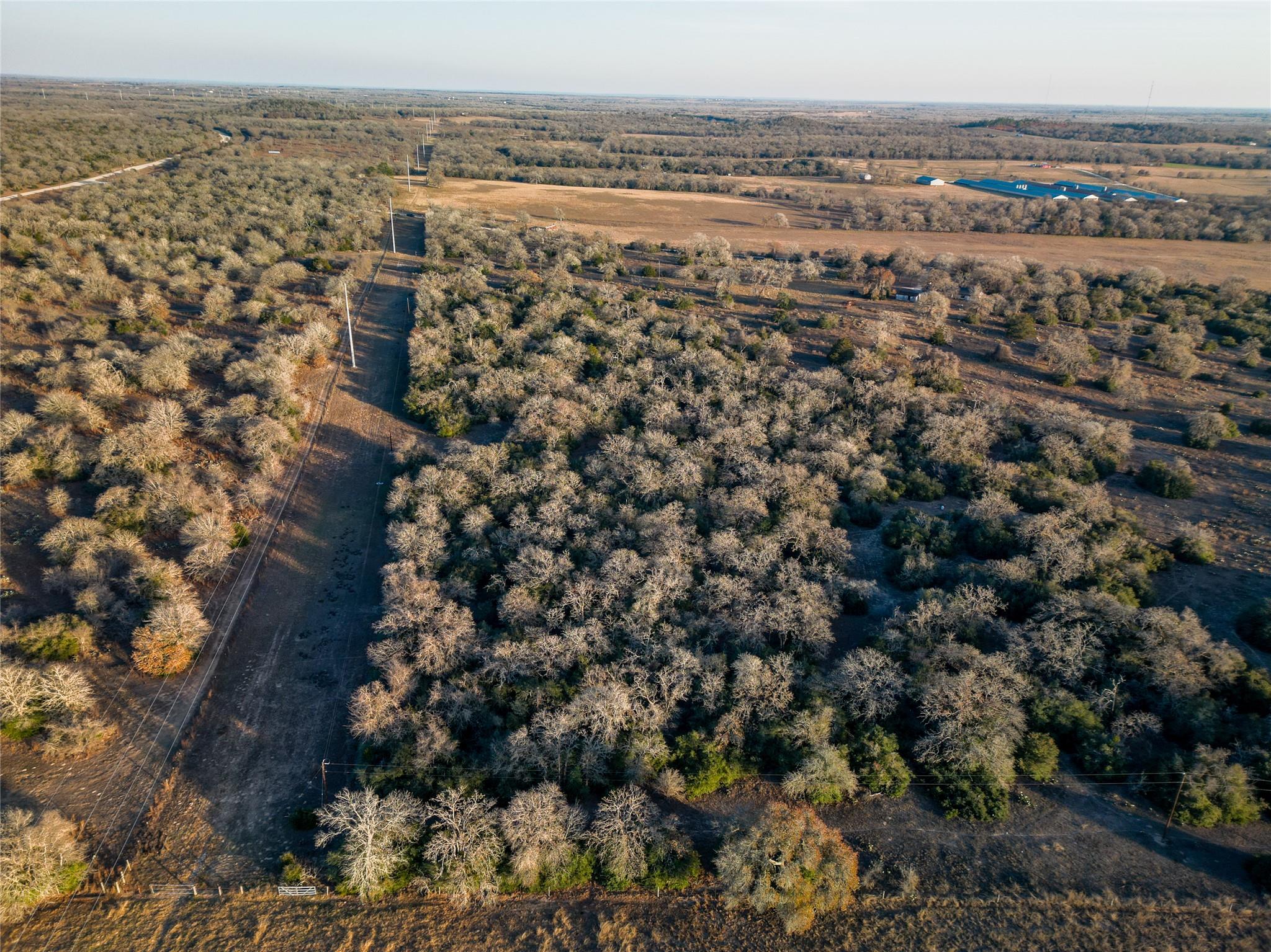 000 Sandy Pine Rd, Luling, TX 78648