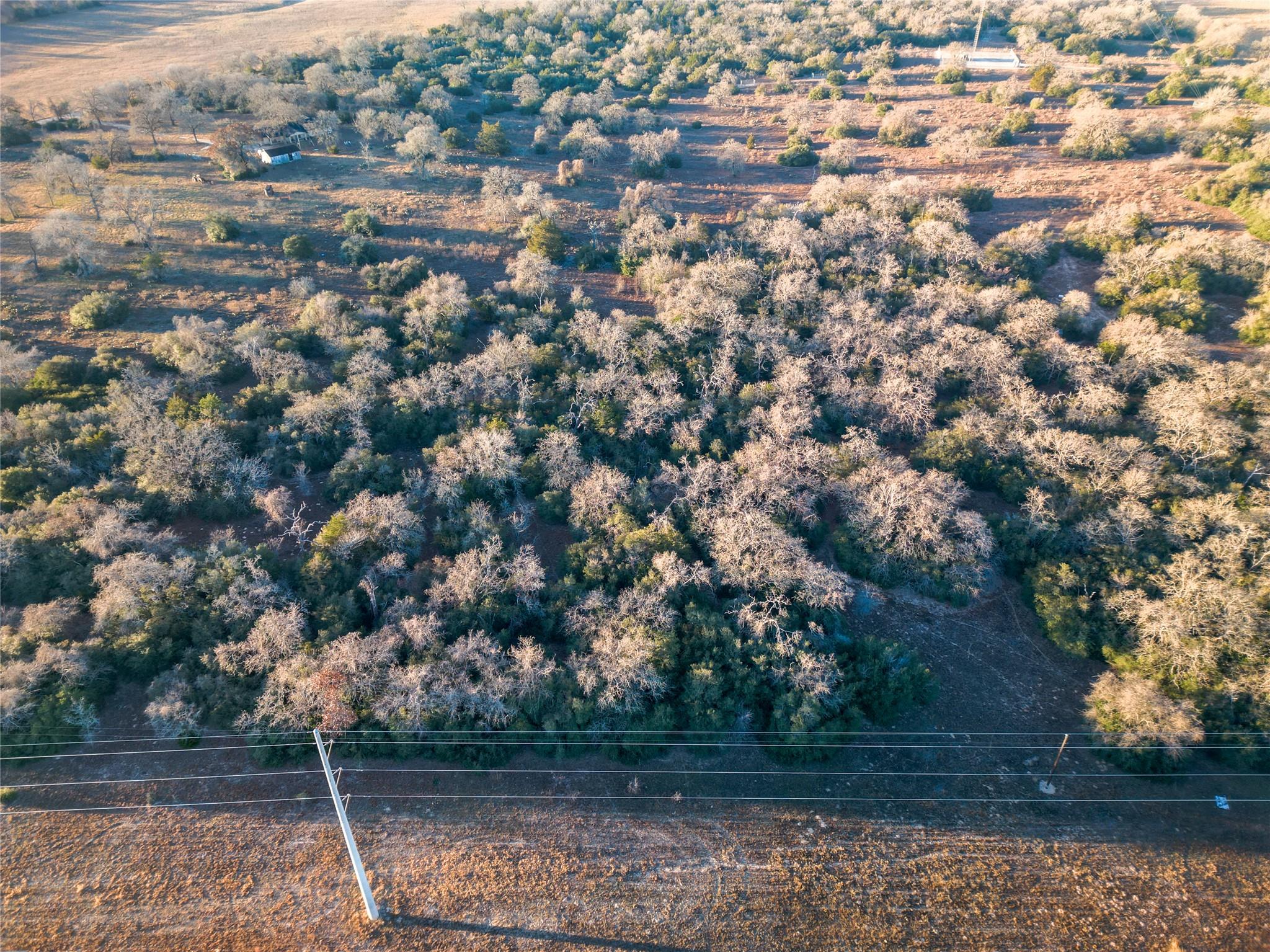 000 Sandy Pine Rd, Luling, TX 78648