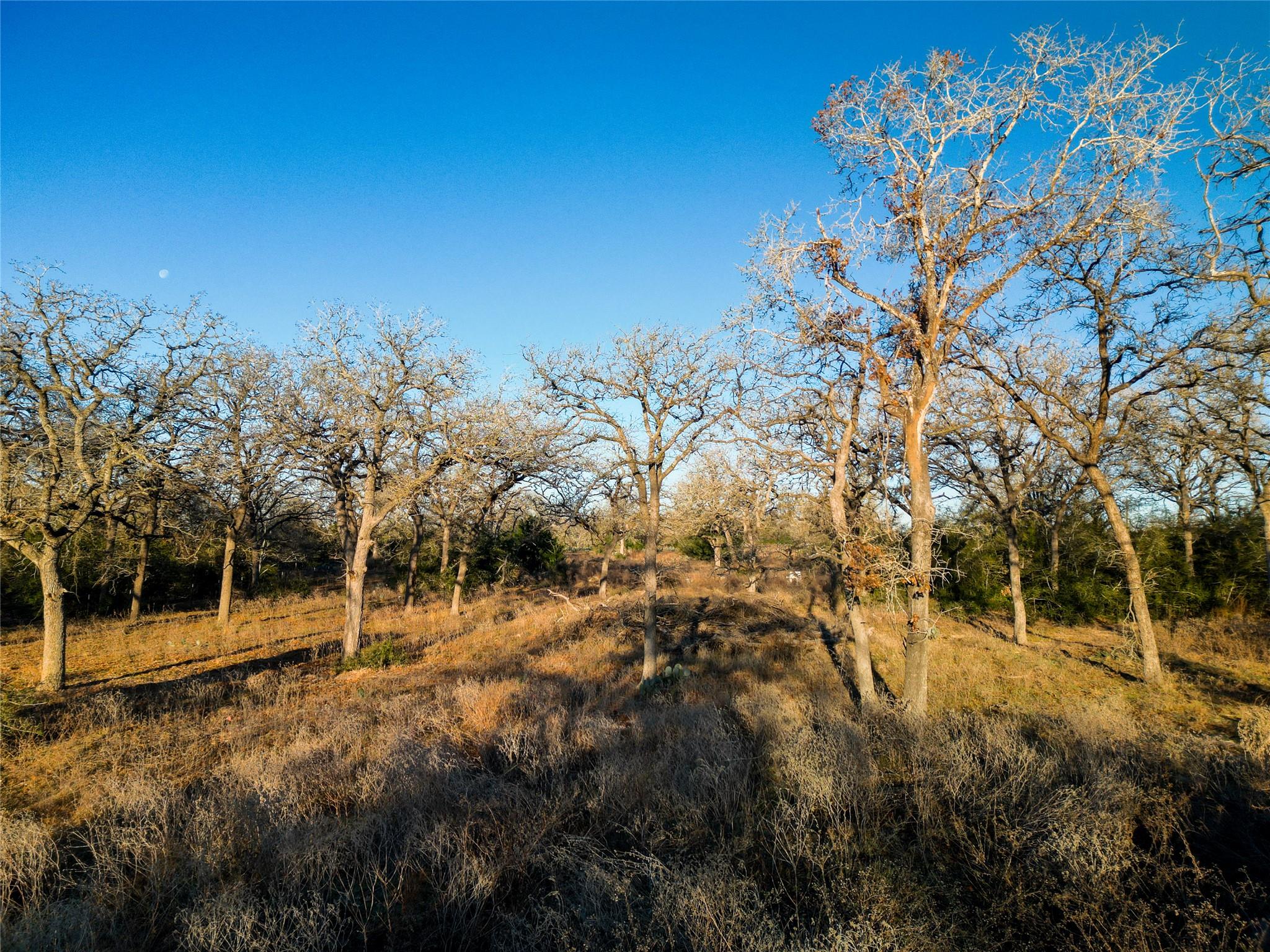 000 Sandy Pine Rd, Luling, TX 78648