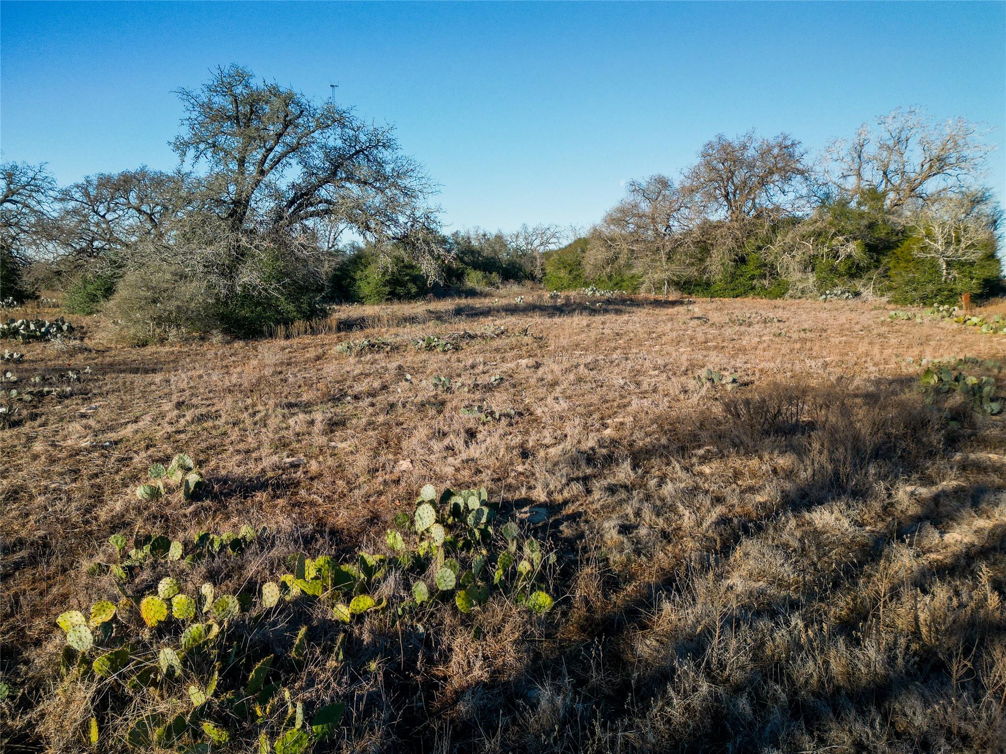 000 Sandy Pine Rd, Luling, TX 78648