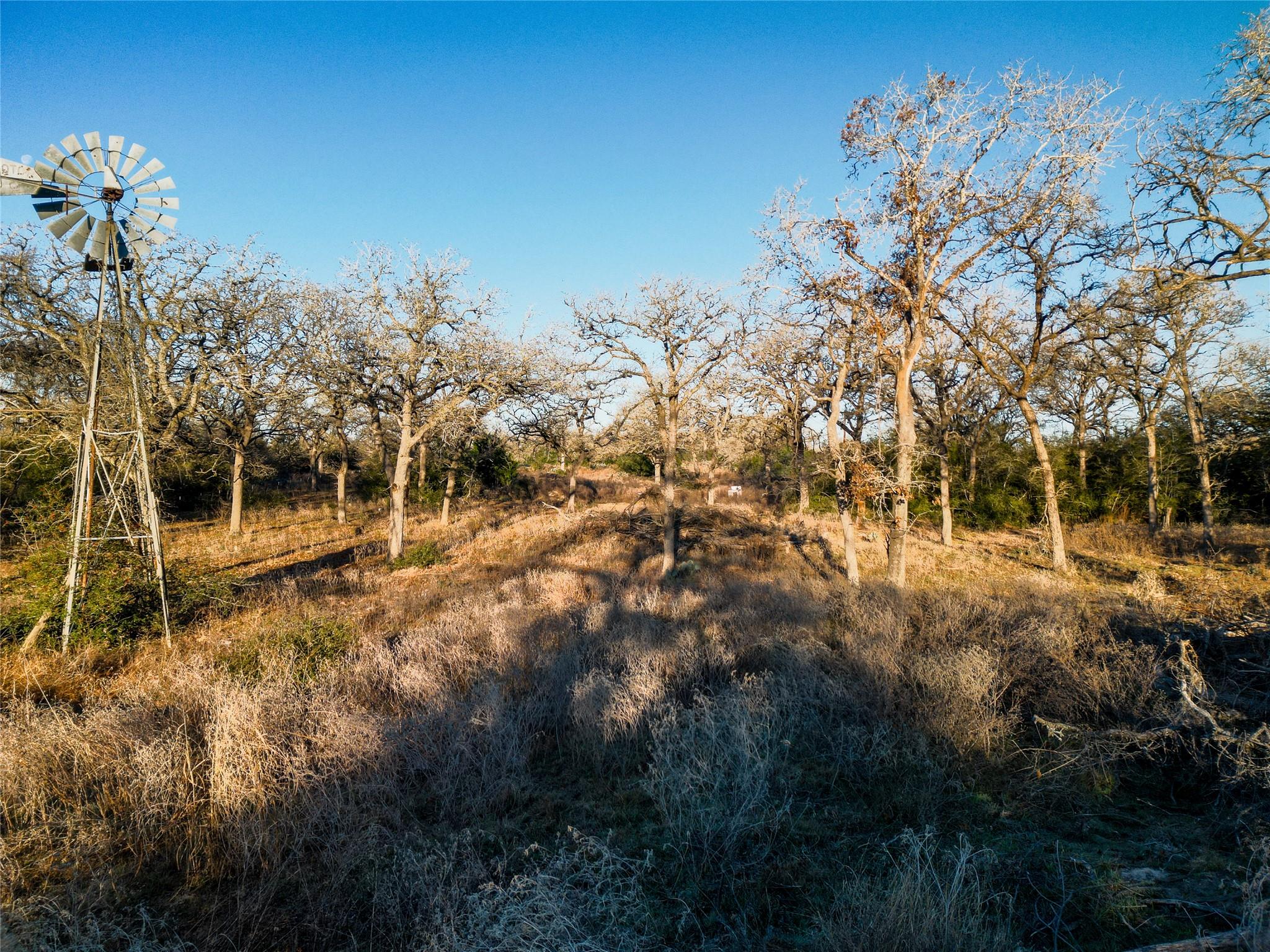 000 Sandy Pine Rd, Luling, TX 78648