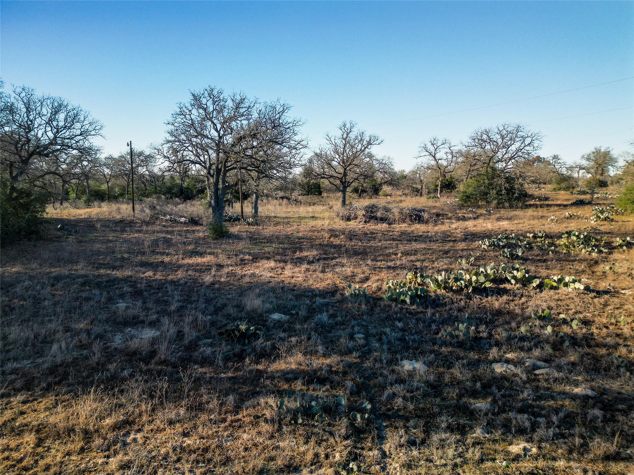 000 Sandy Pine Rd, Luling, TX 78648