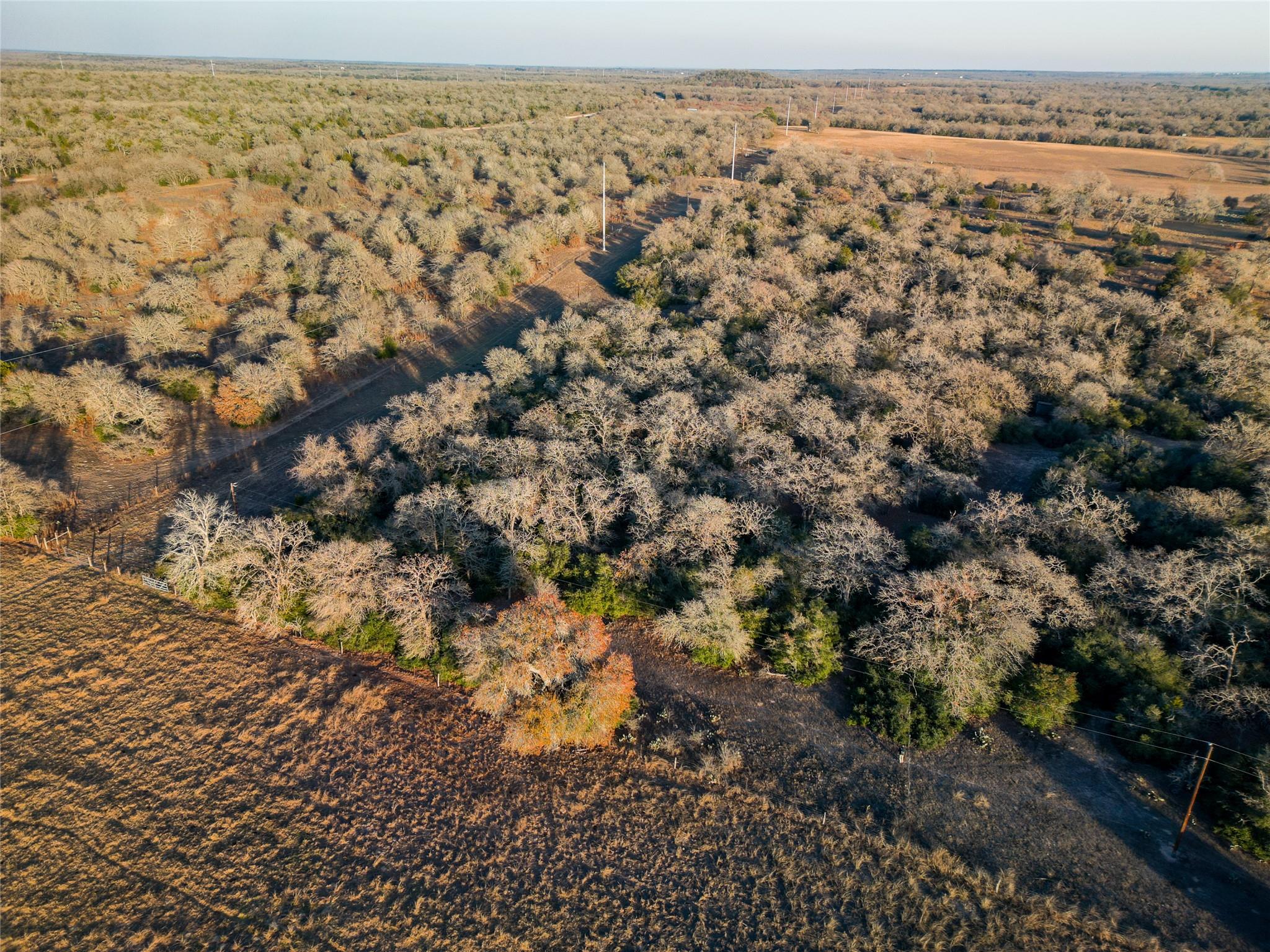 000 Sandy Pine Rd, Luling, TX 78648