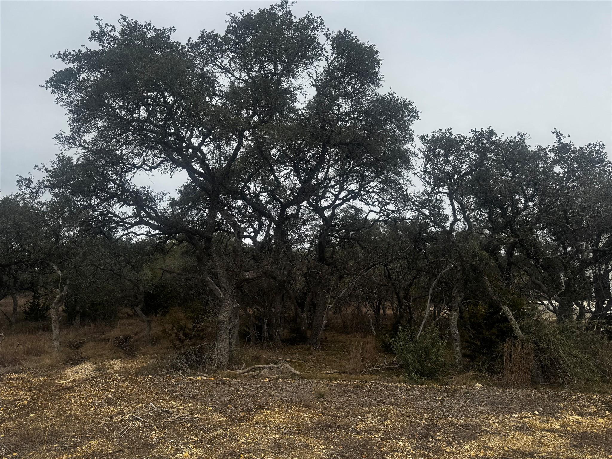 676 Annabelle Ave, Bulverde, TX 78163