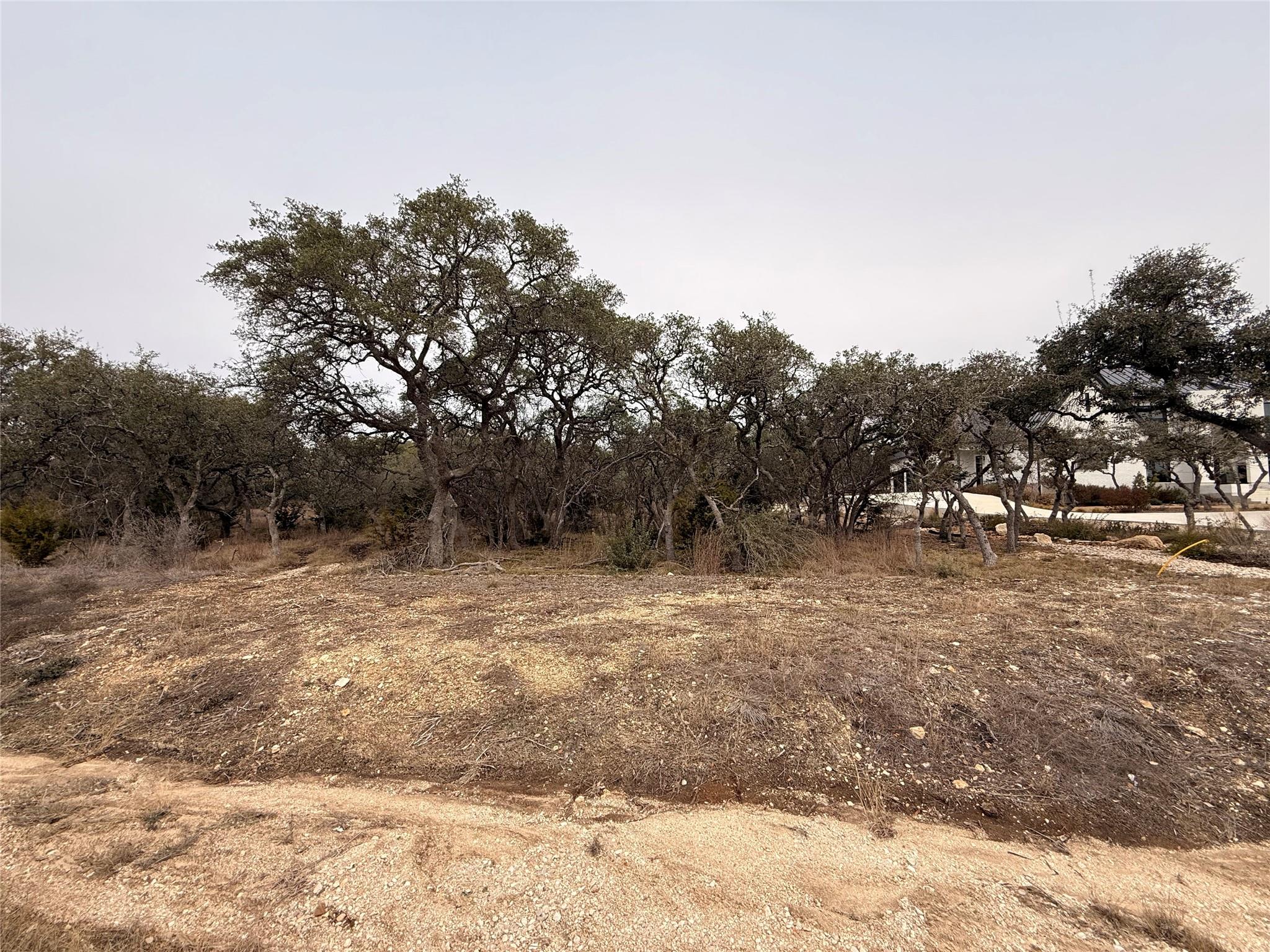 676 Annabelle Ave, Bulverde, TX 78163