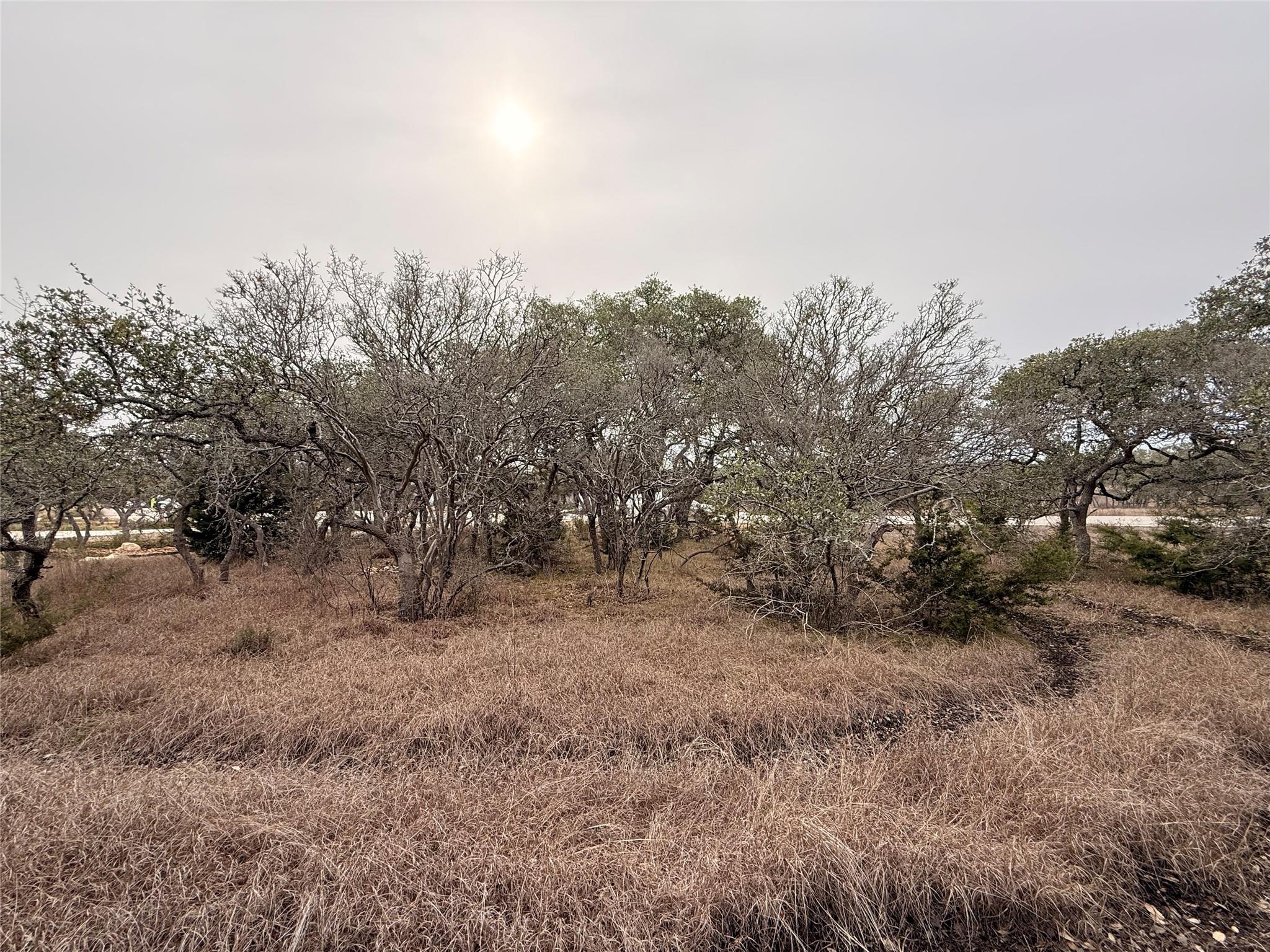 676 Annabelle Ave, Bulverde, TX 78163