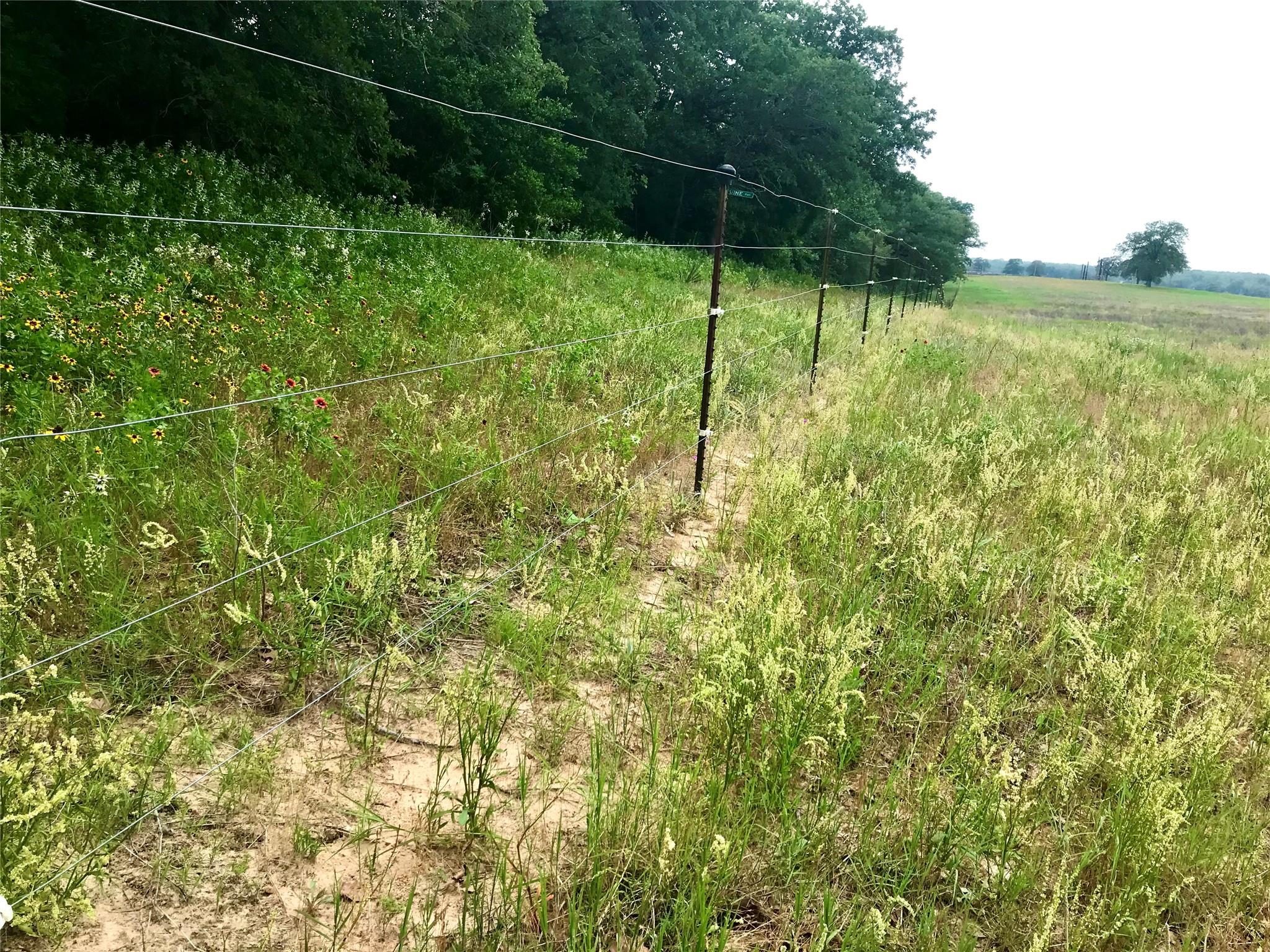 1672 Sayers Rd # Tract 1, Bastrop, TX 78602