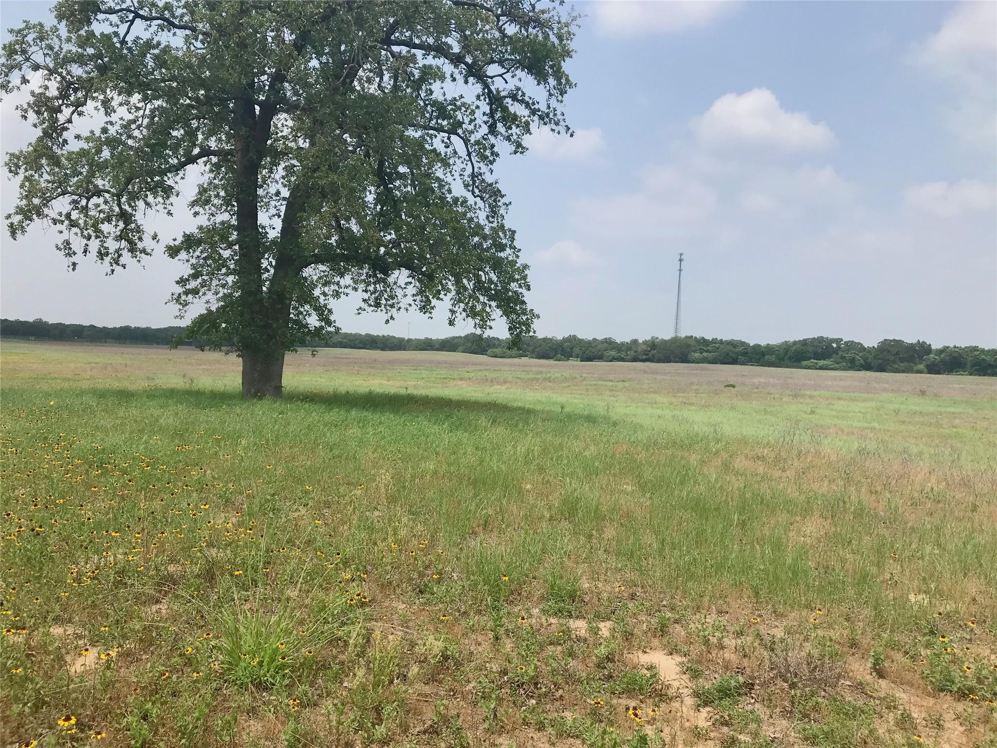 1672 Sayers Rd # Tract 1, Bastrop, TX 78602