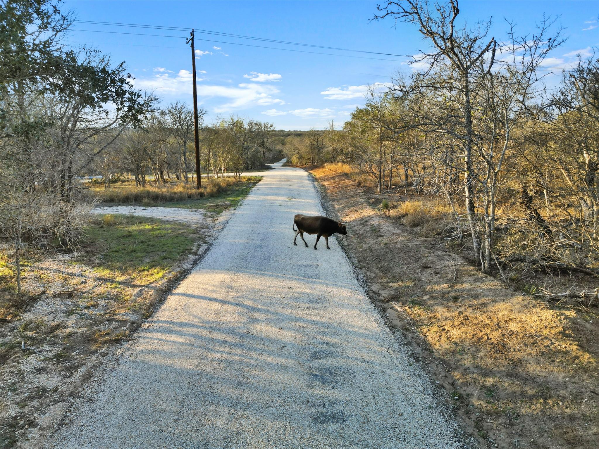 Tract 4 US Hwy 90 Alt, Seguin, TX 78155