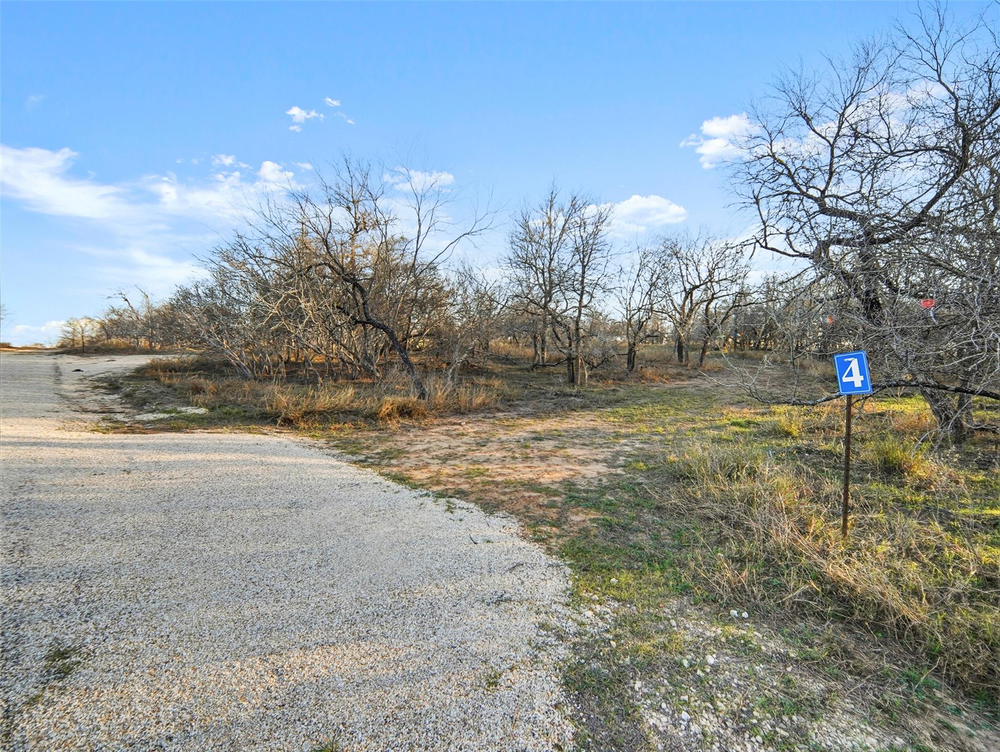 Tract 4 US Hwy 90 Alt, Seguin, TX 78155