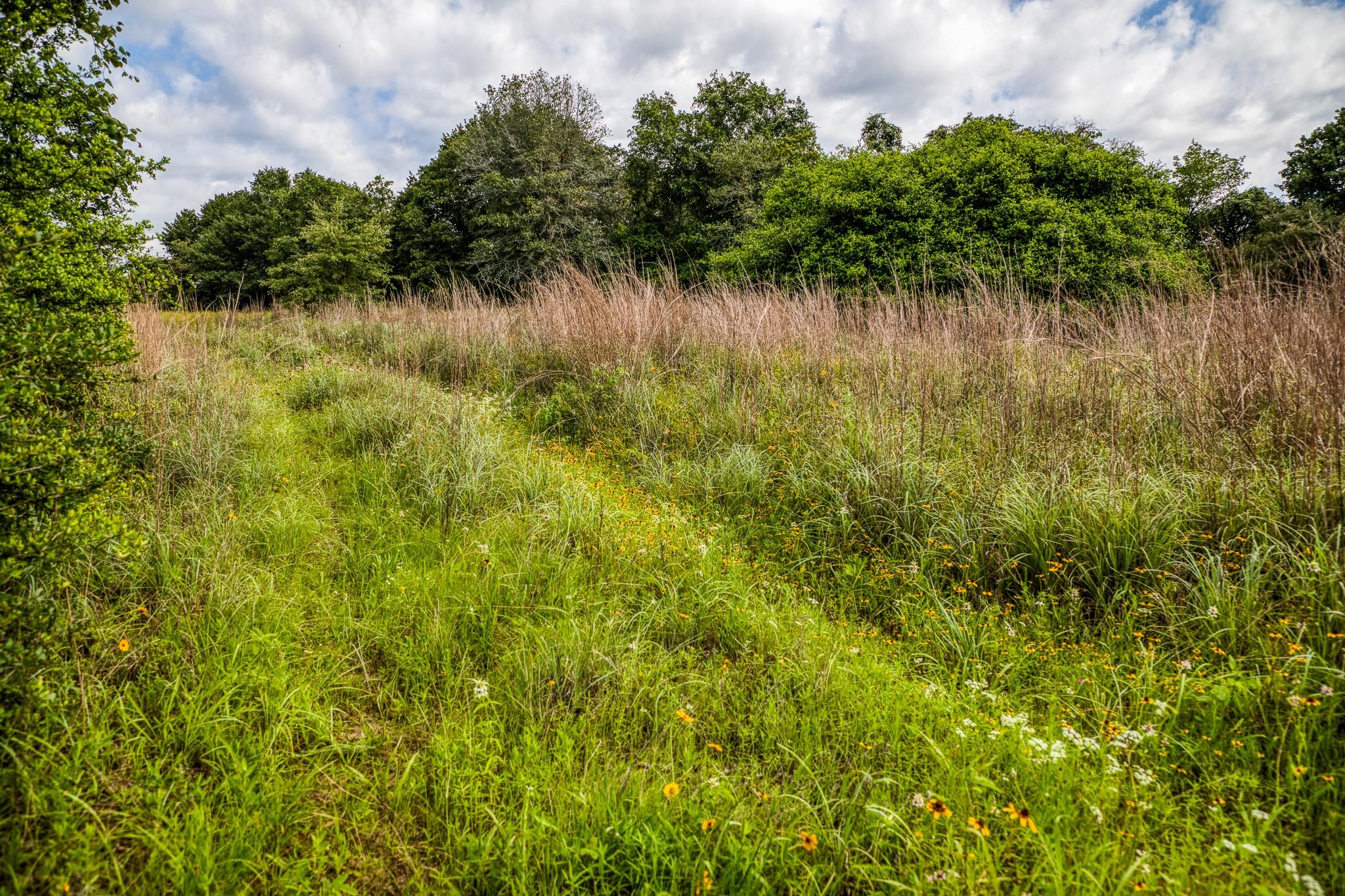 9808 FM 908, Caldwell, TX 77836