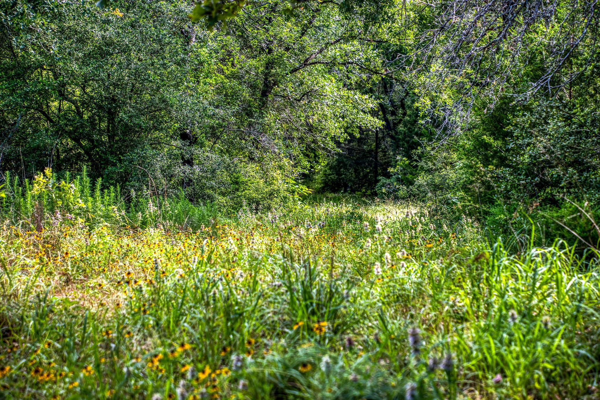 9808 FM 908, Caldwell, TX 77836